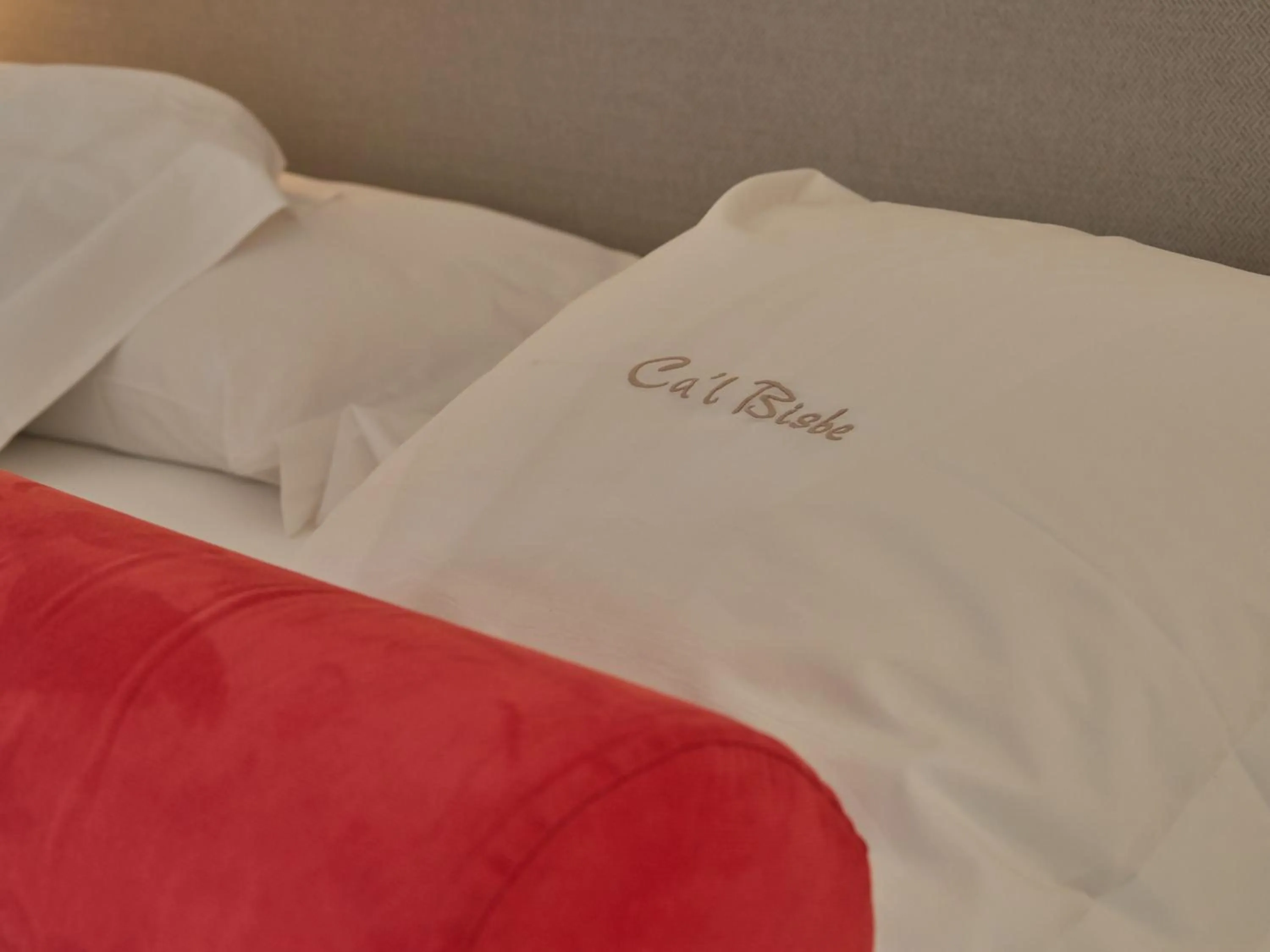 Bed in Hotel Ca'l Bisbe