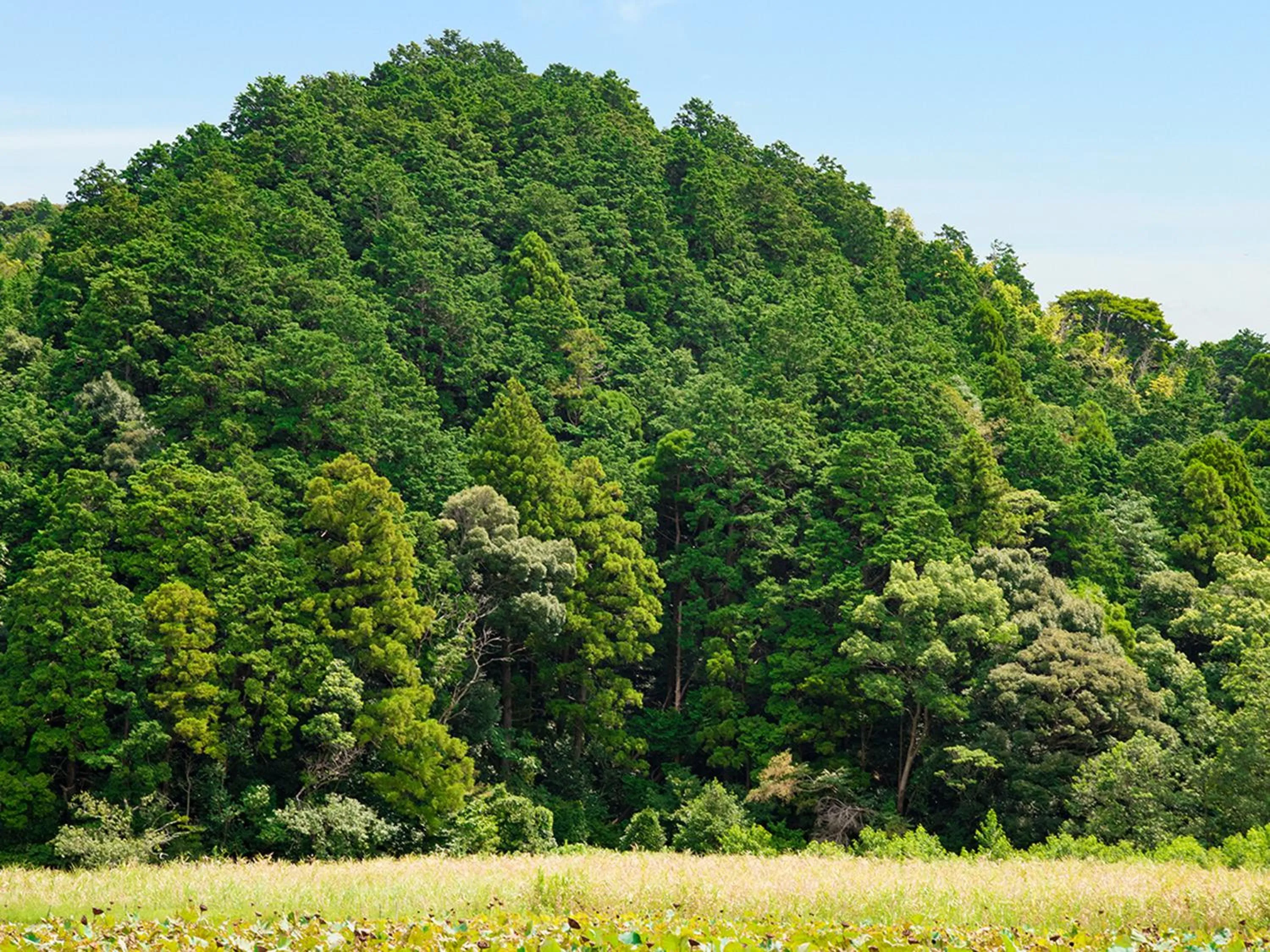 Other in Auberge Yusura