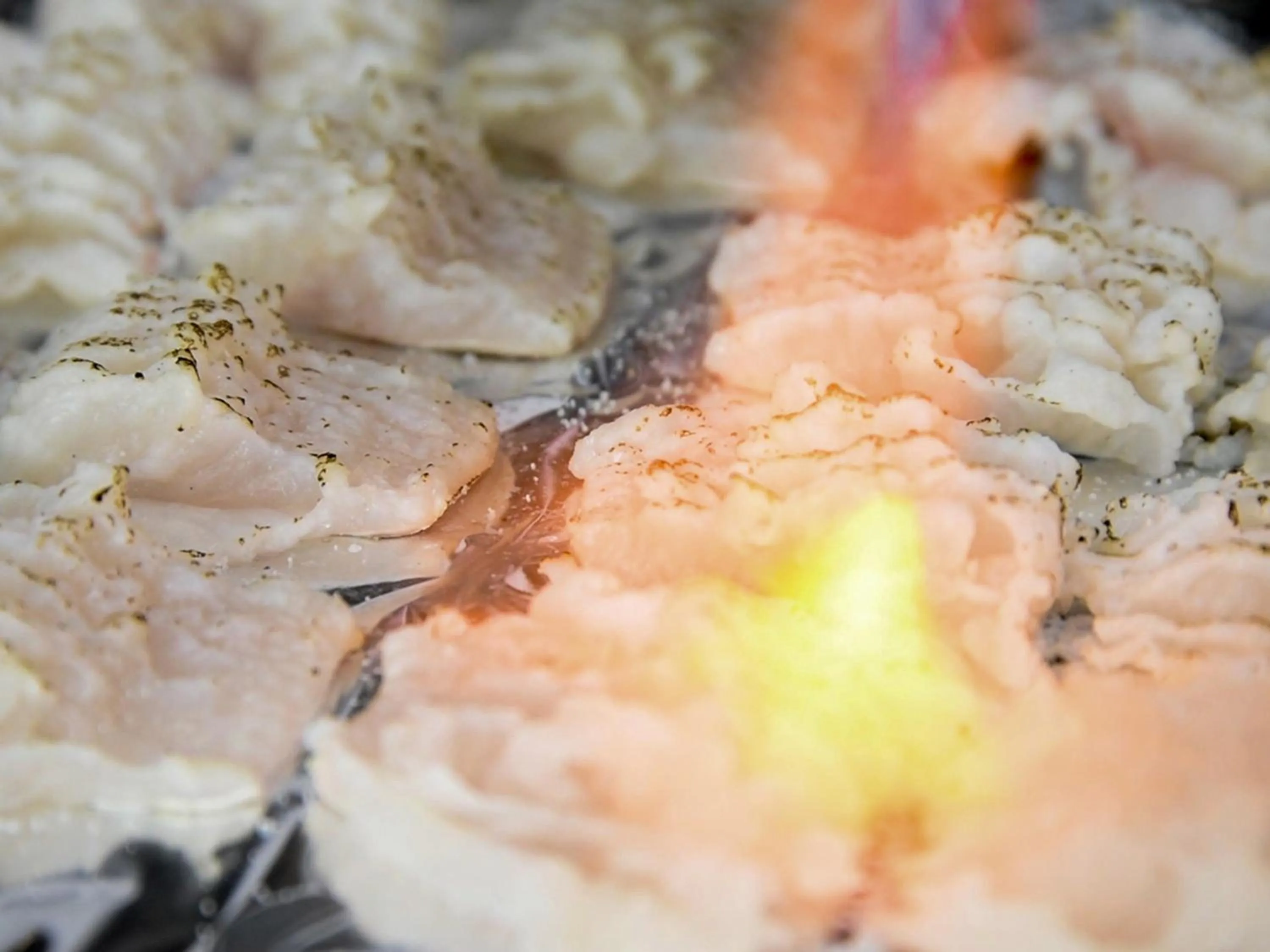 Food and drinks in Auberge Yusura