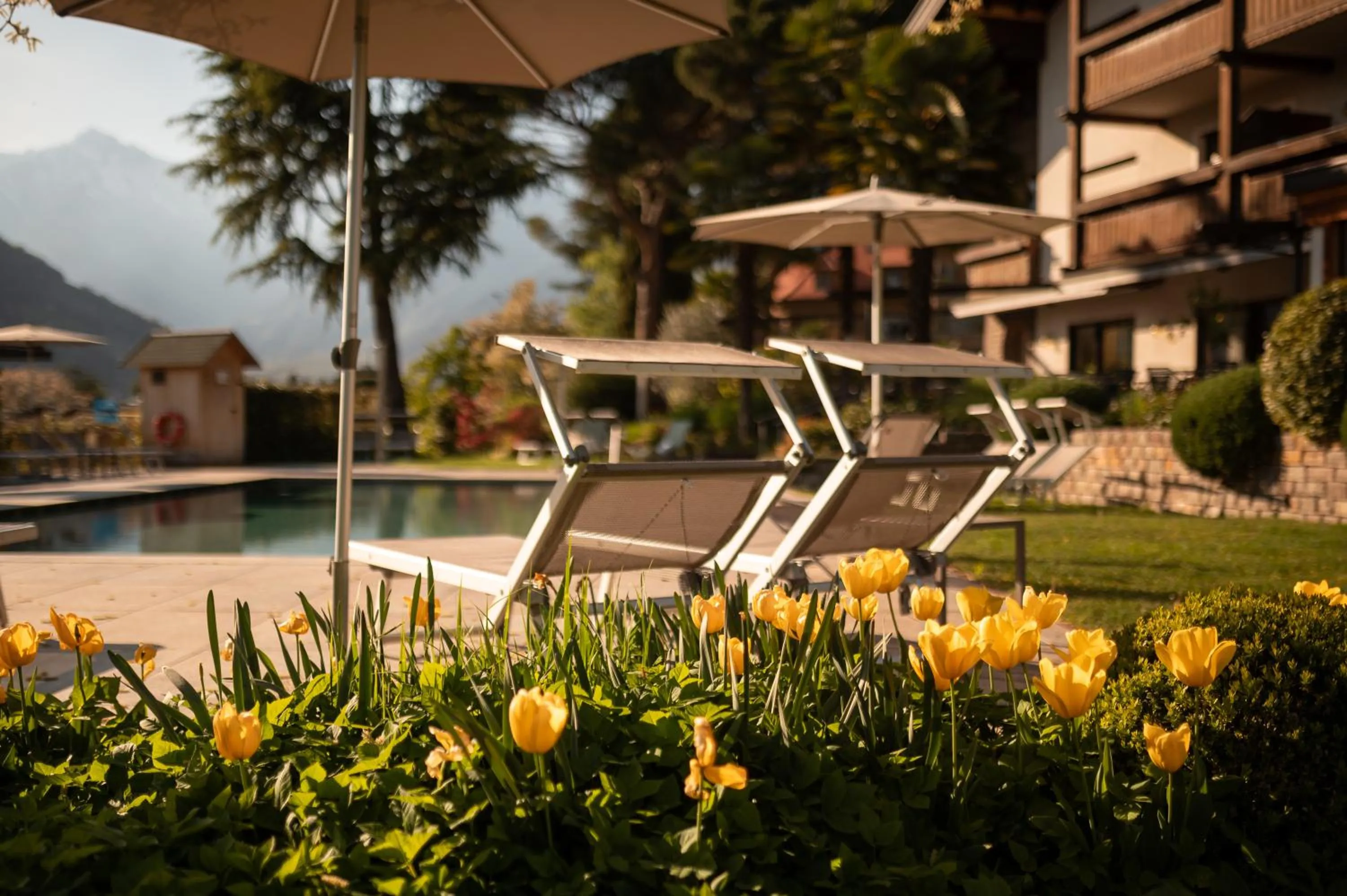 Spring in Hotel Salgart