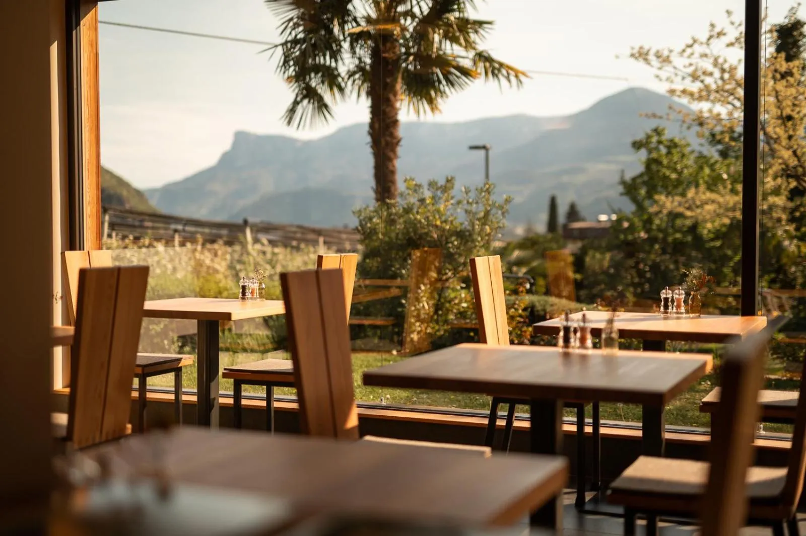 Restaurant/places to eat in Hotel Salgart