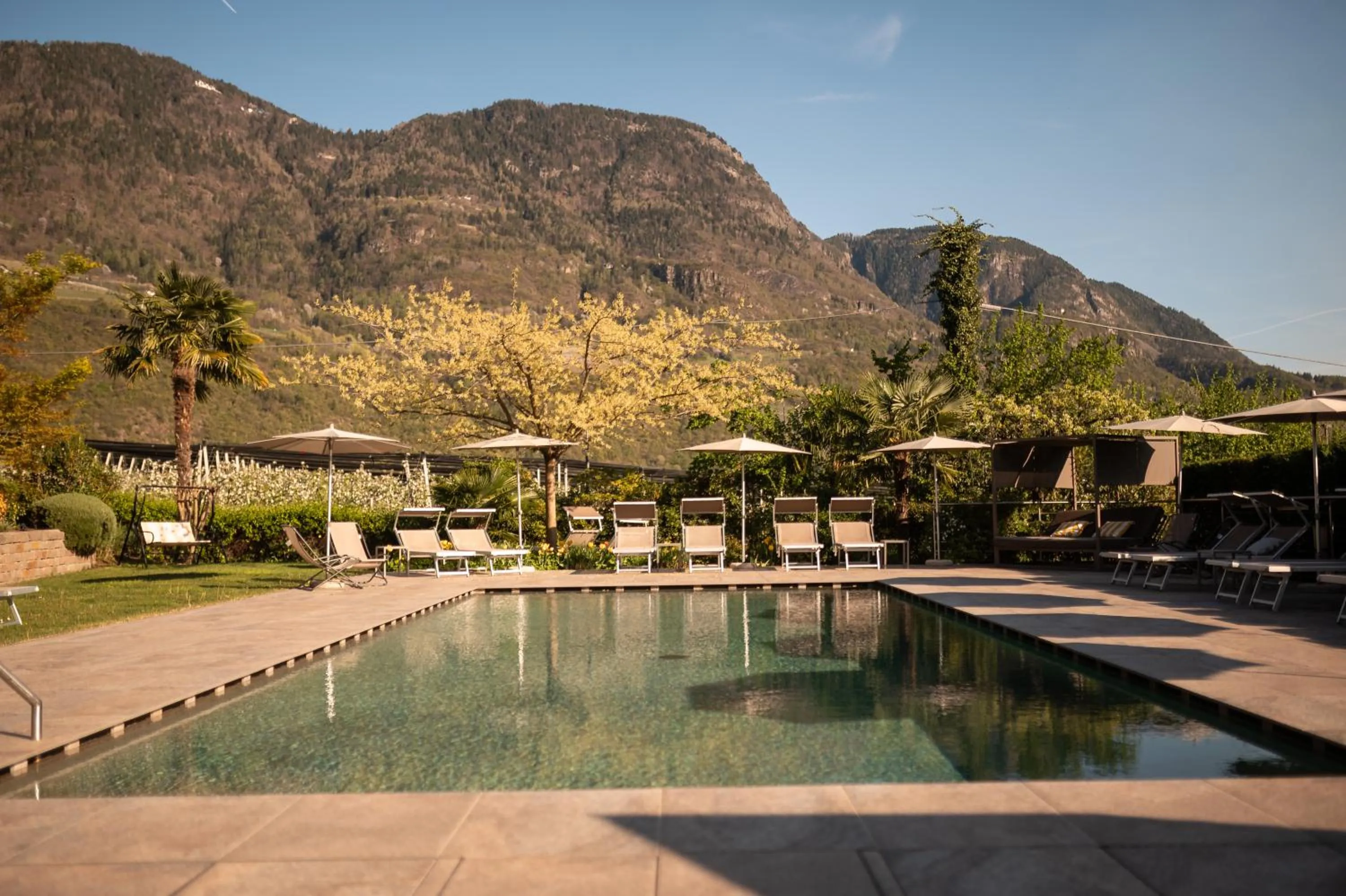 Natural landscape in Hotel Salgart