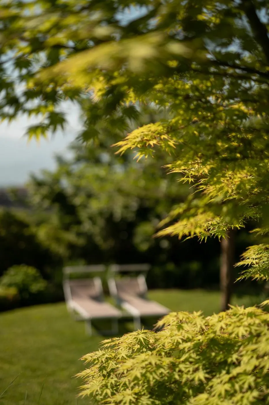 Garden in Hotel Salgart