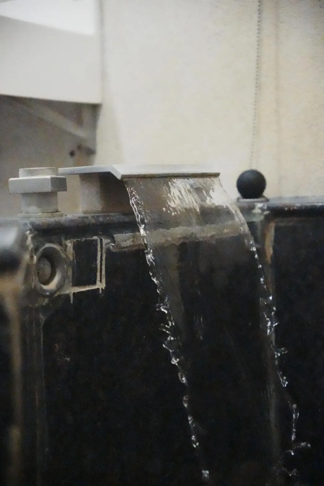 Youngs Hotspring Hotel