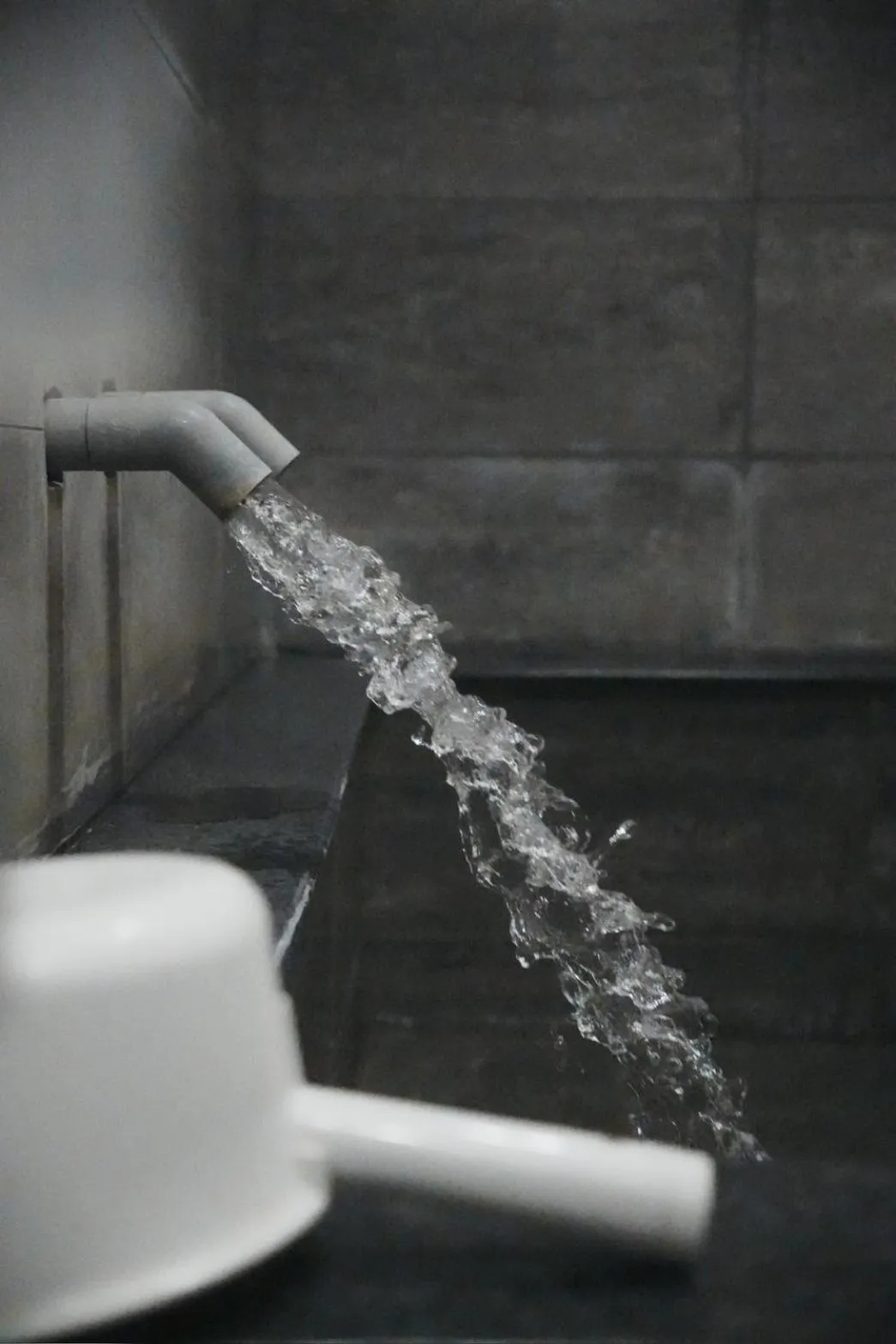 Youngs Hotspring Hotel