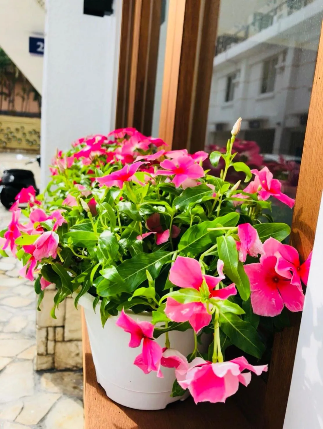 Property building in Youngs Hotspring Hotel