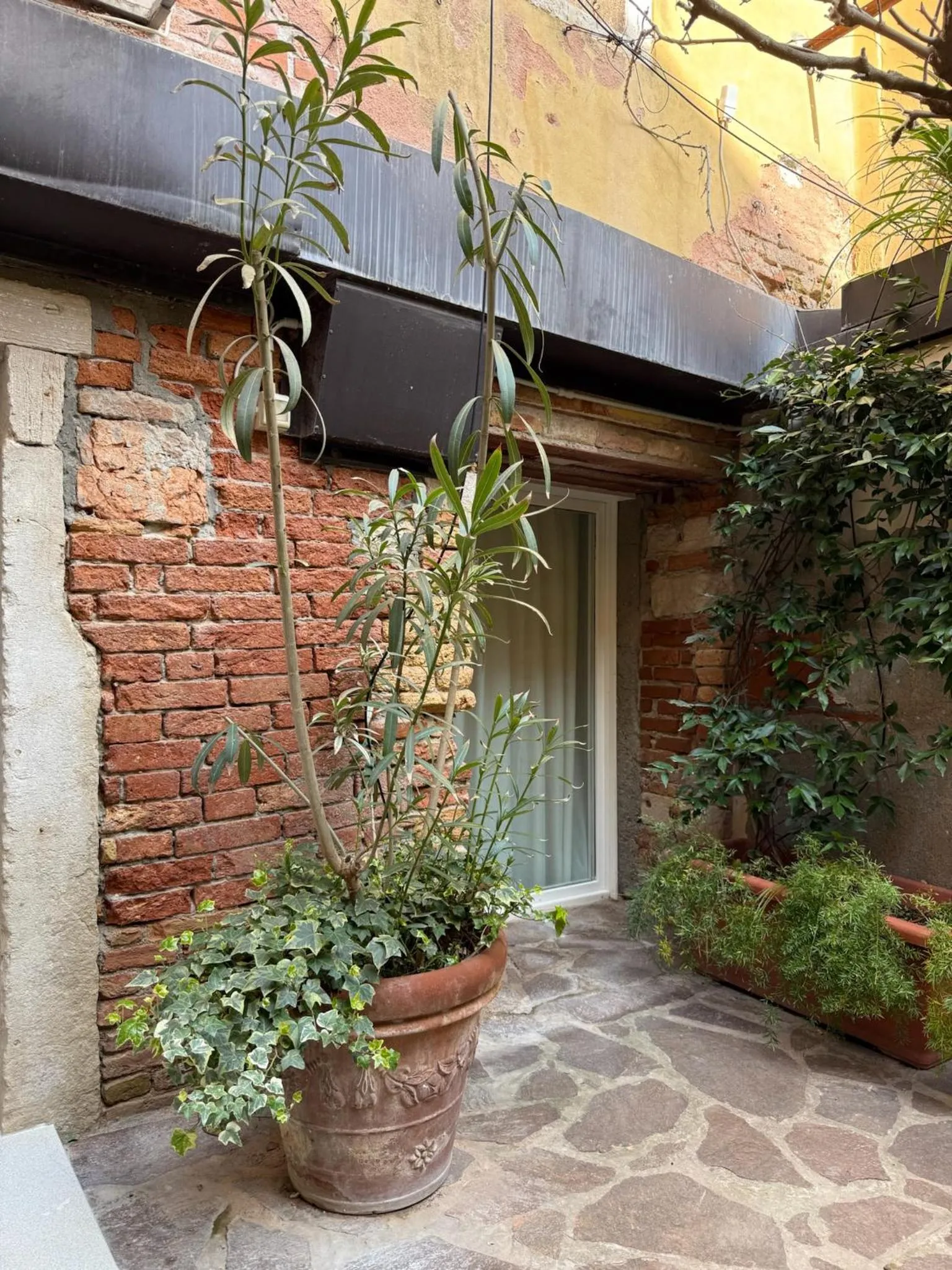 Garden in Avogaria 5 Rooms