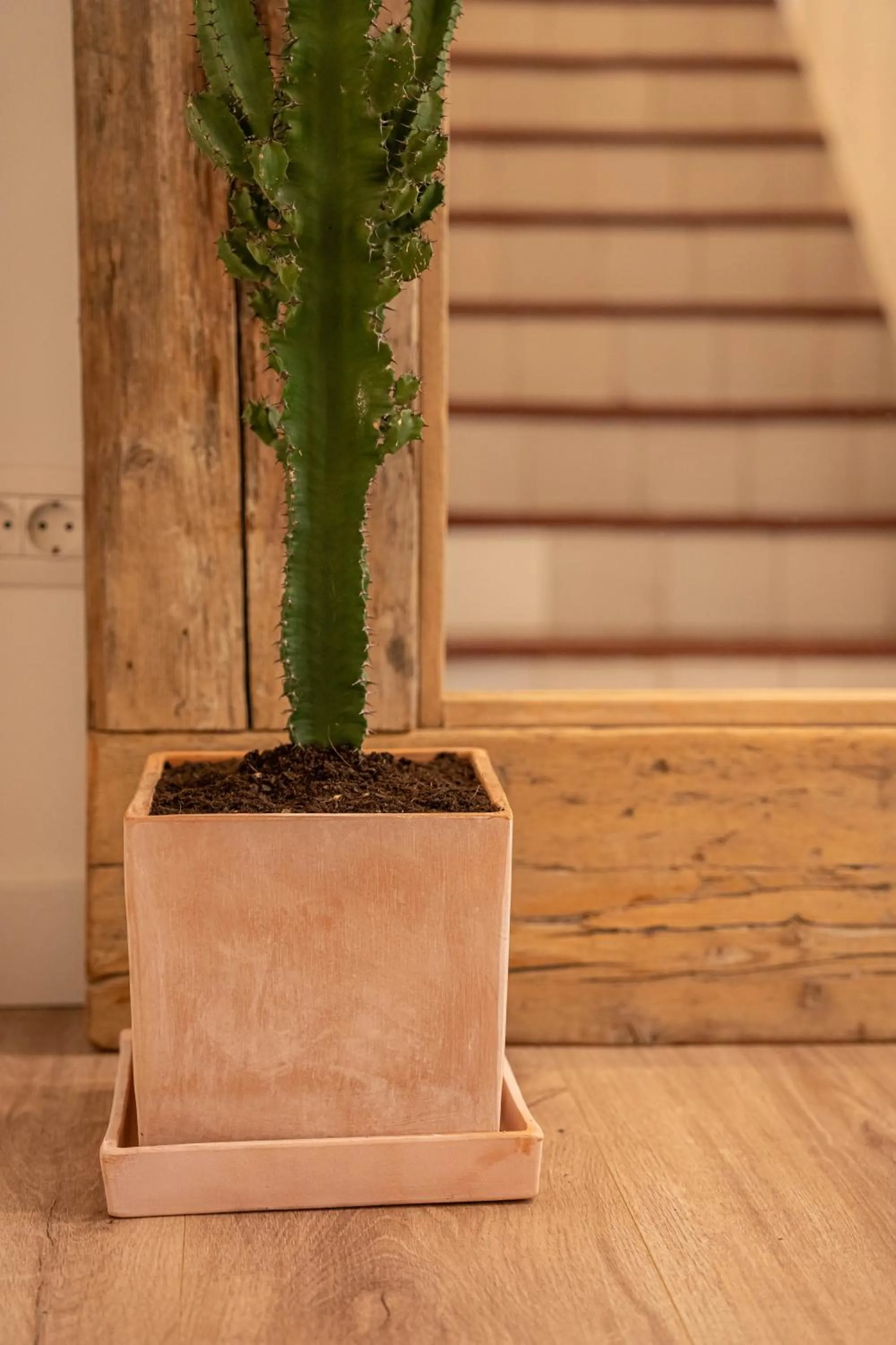 Hotel Los 5 Sentidos