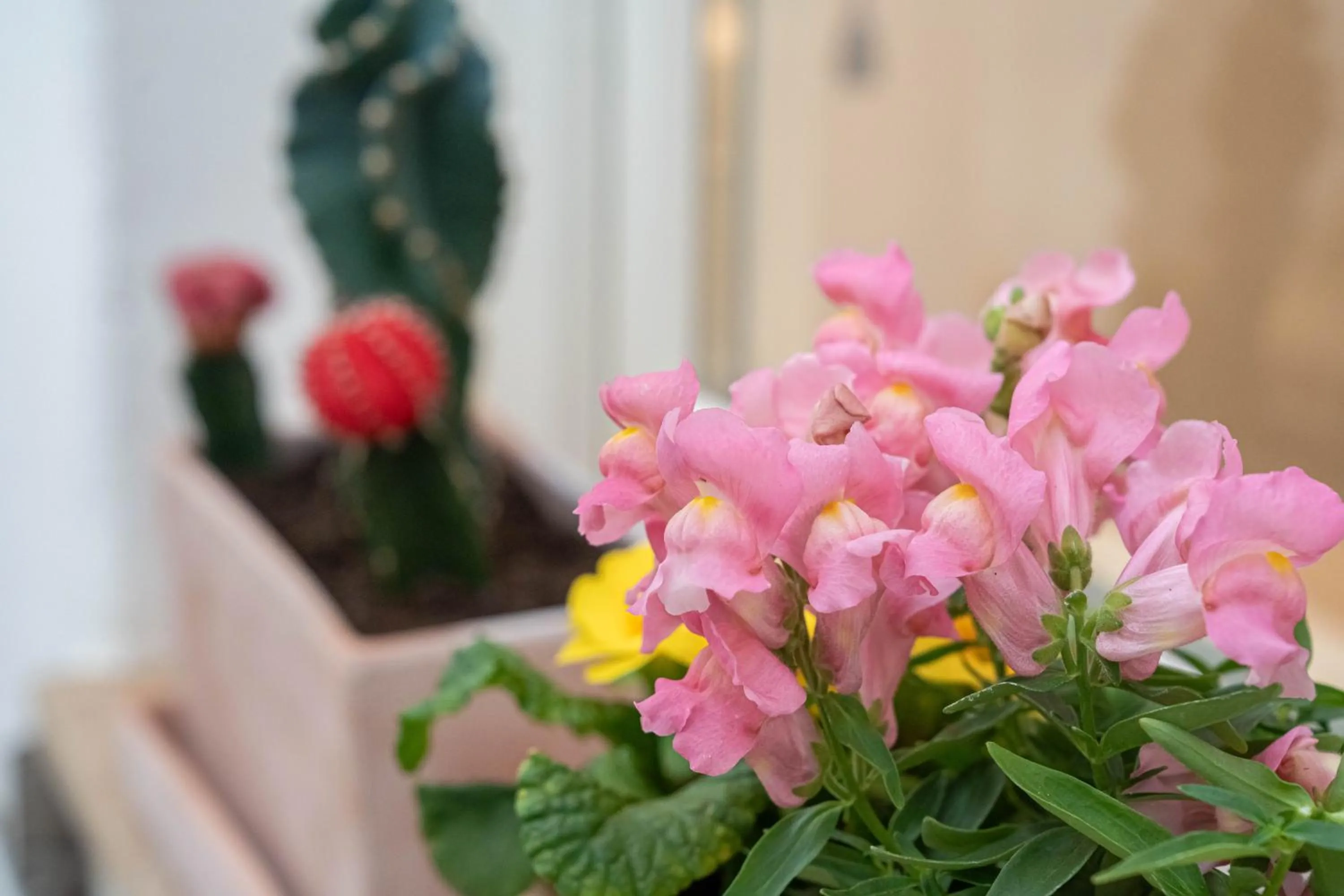 Hotel Los 5 Sentidos