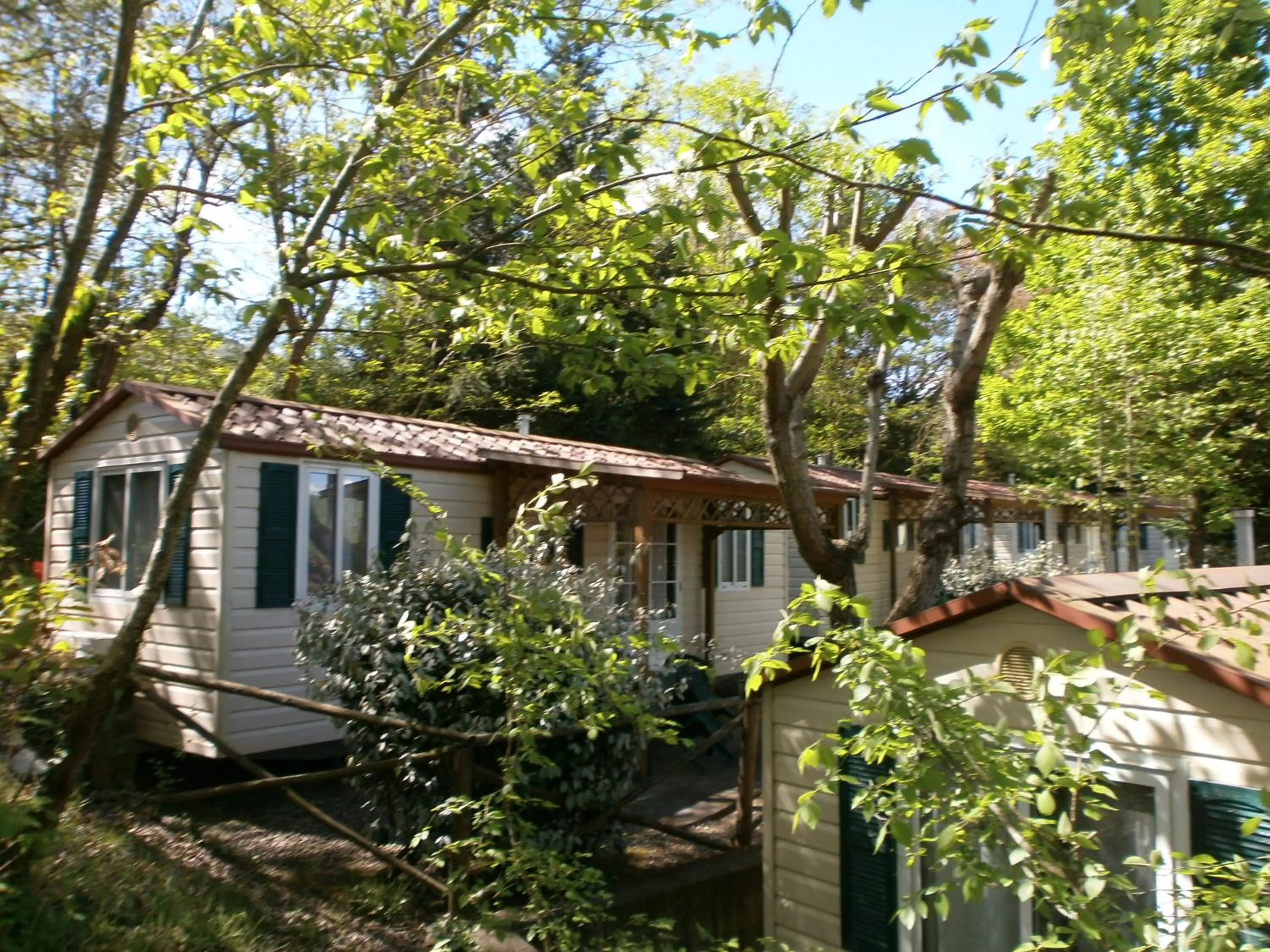 Bed in Camping Village Il Poggetto