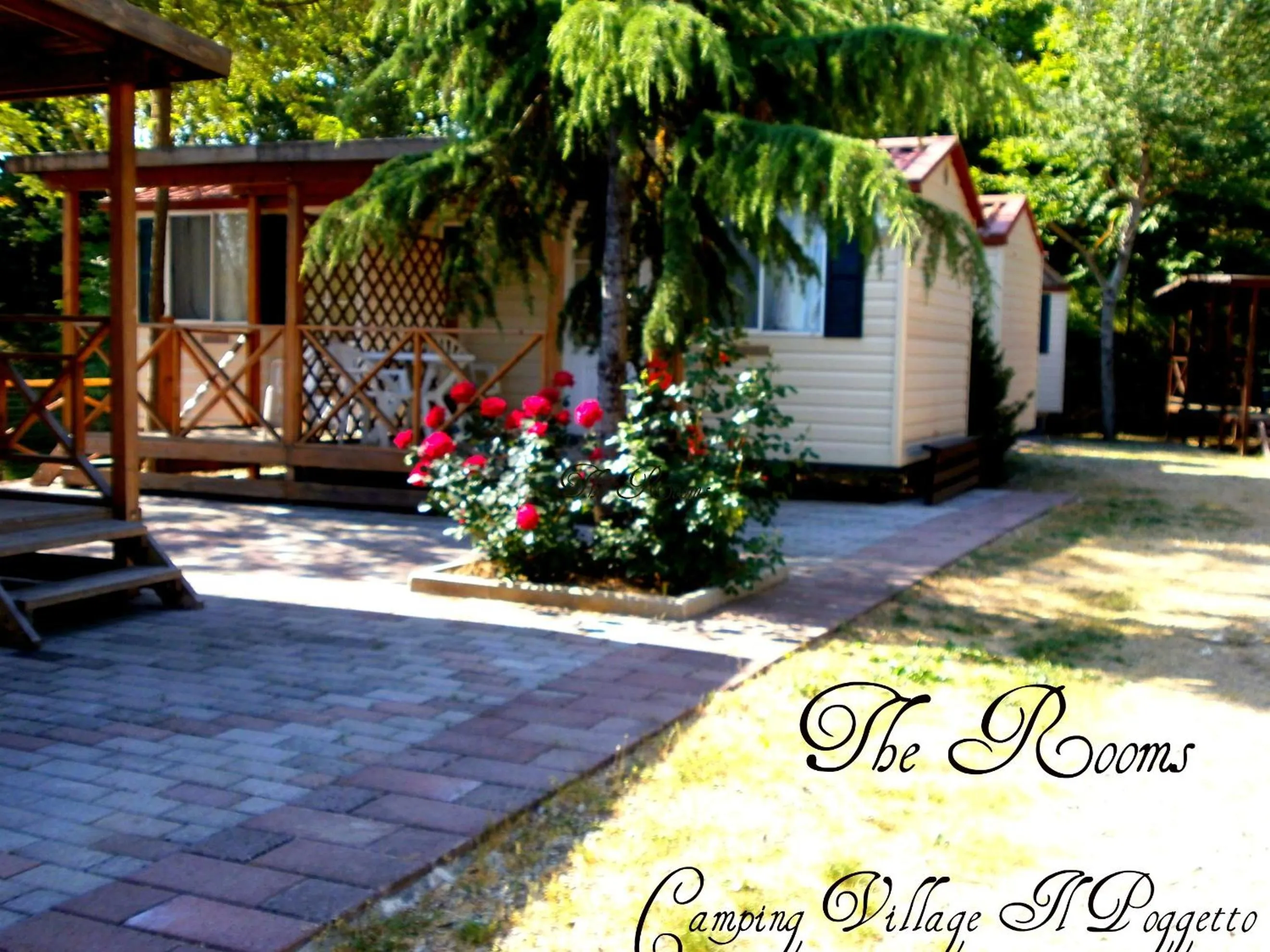 Photo of the whole room in Camping Village Il Poggetto