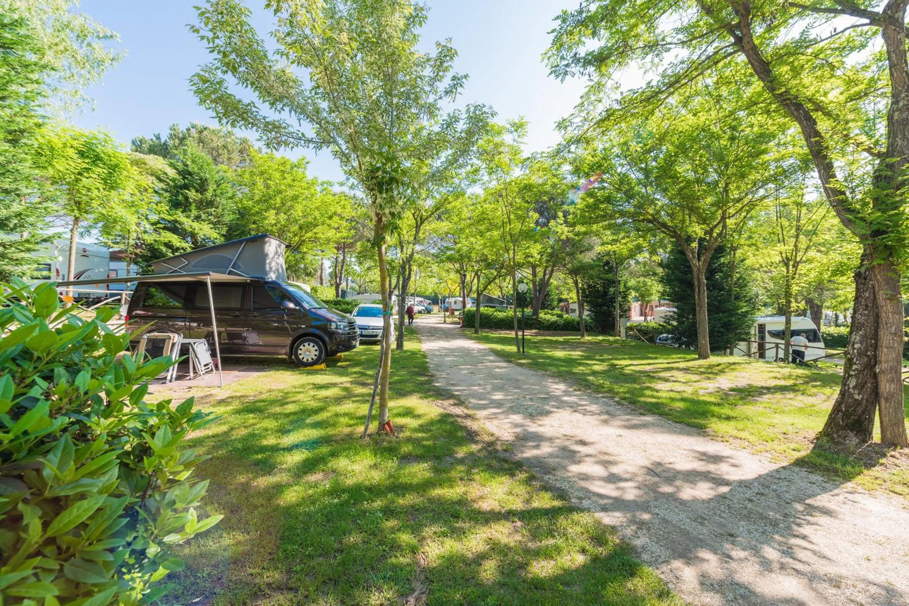 Garden view in Camping Village Il Poggetto