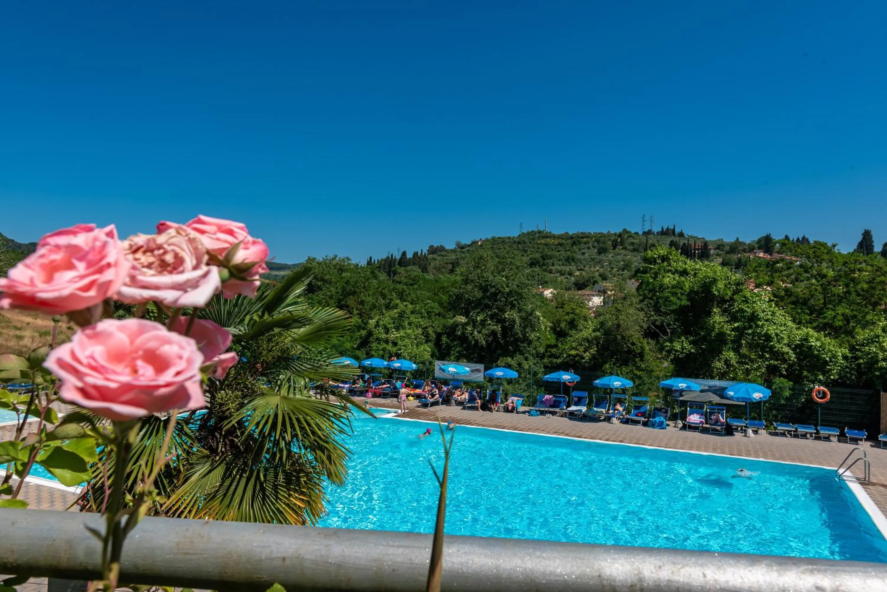Swimming pool in Camping Village Il Poggetto