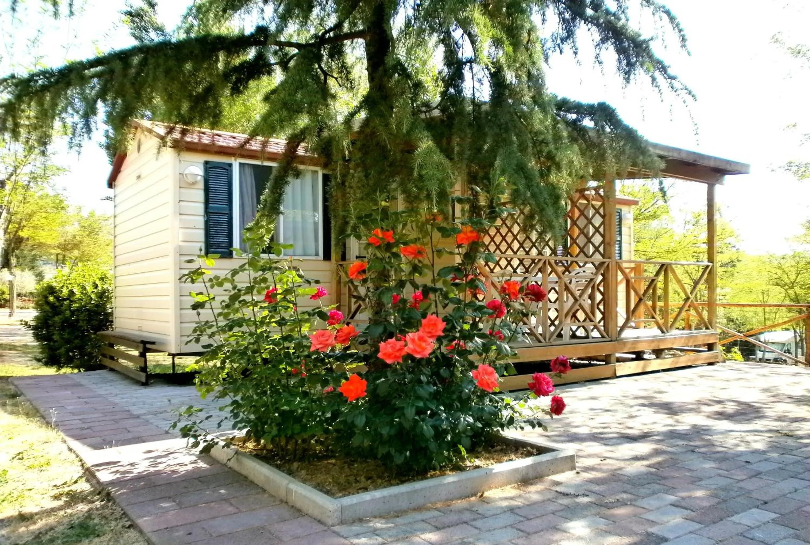 Day in Camping Village Il Poggetto