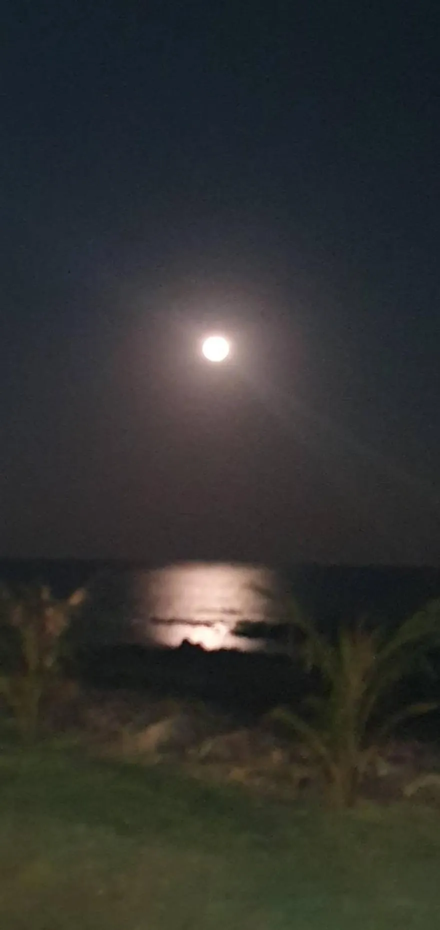 The Beach Resort & Residence - SHA Plus