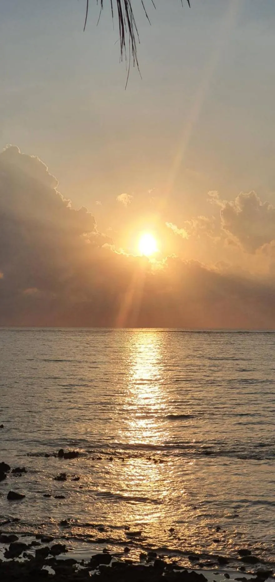 The Beach Resort & Residence - SHA Plus