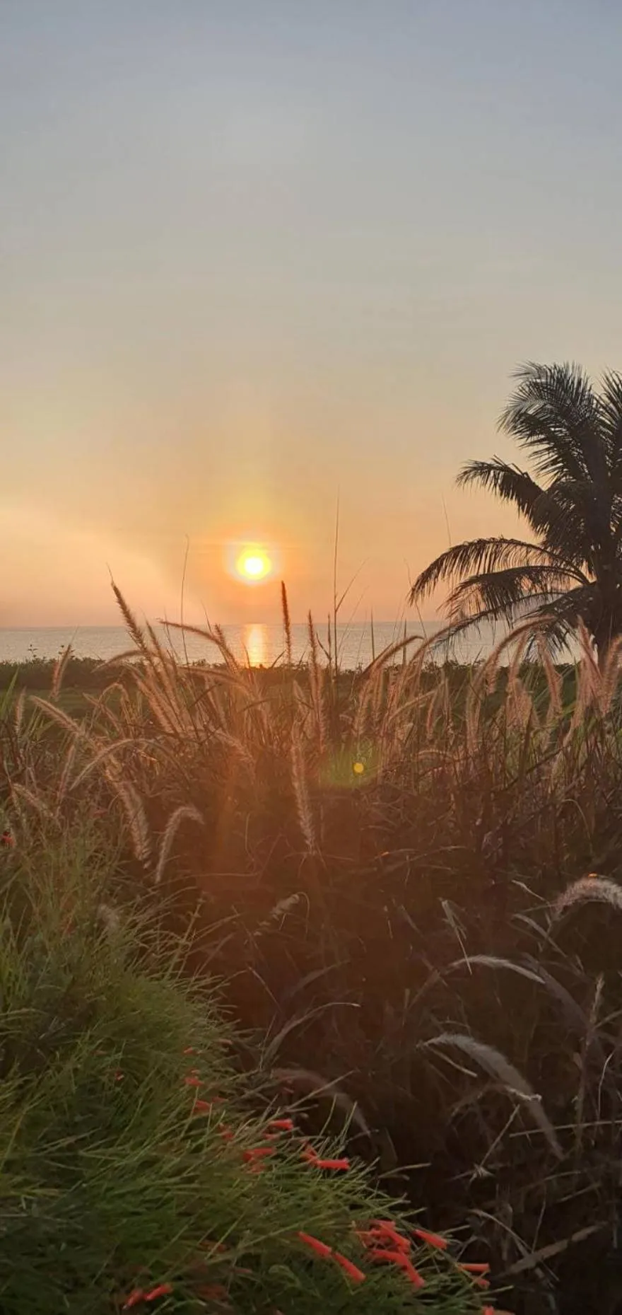 The Beach Resort & Residence - SHA Plus