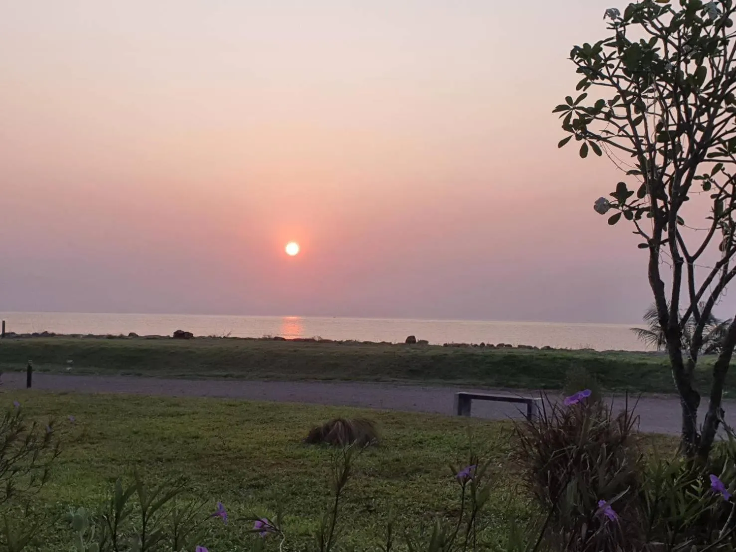 The Beach Resort & Residence - SHA Plus