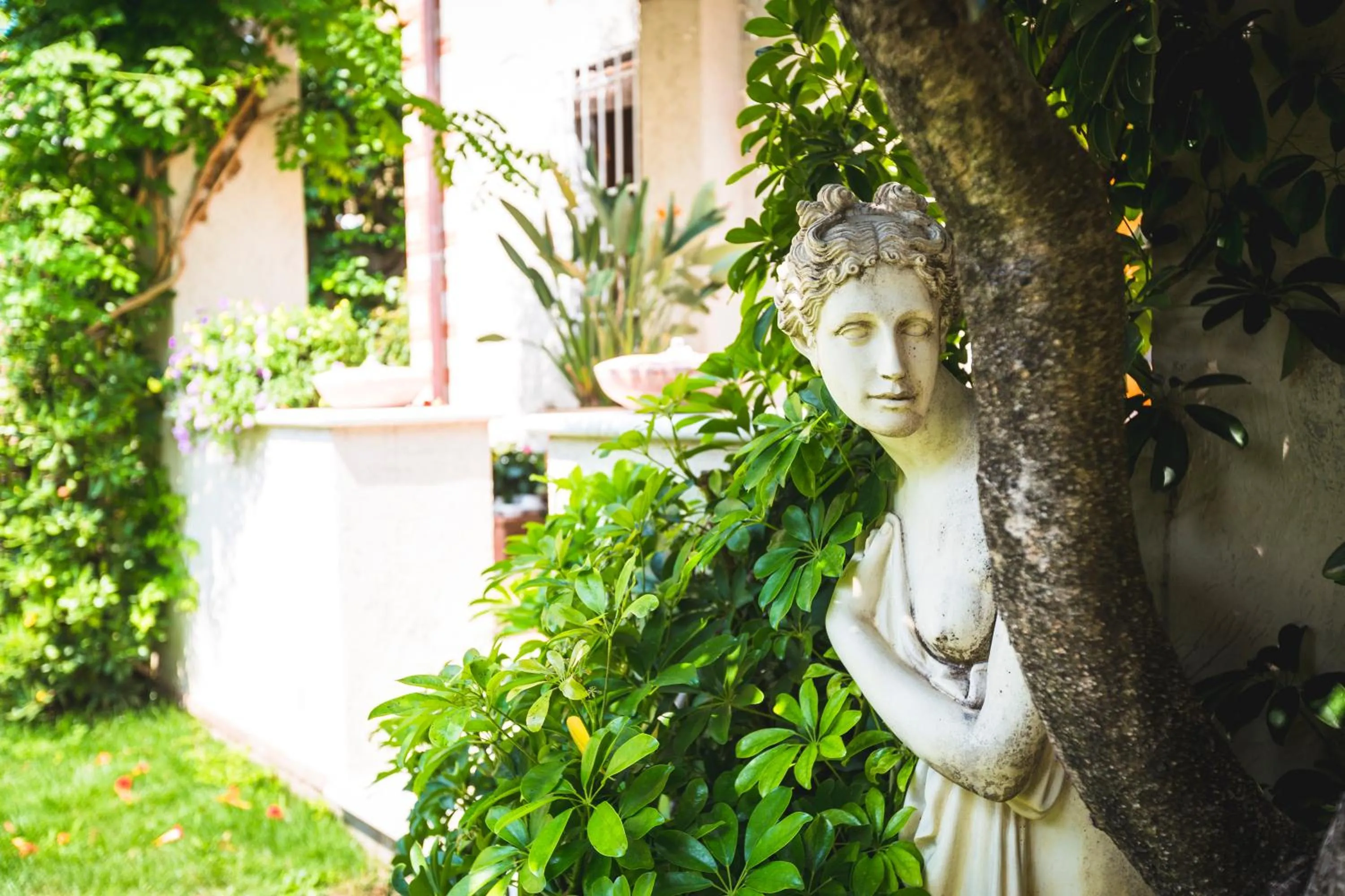 Garden in Hotel Sonia