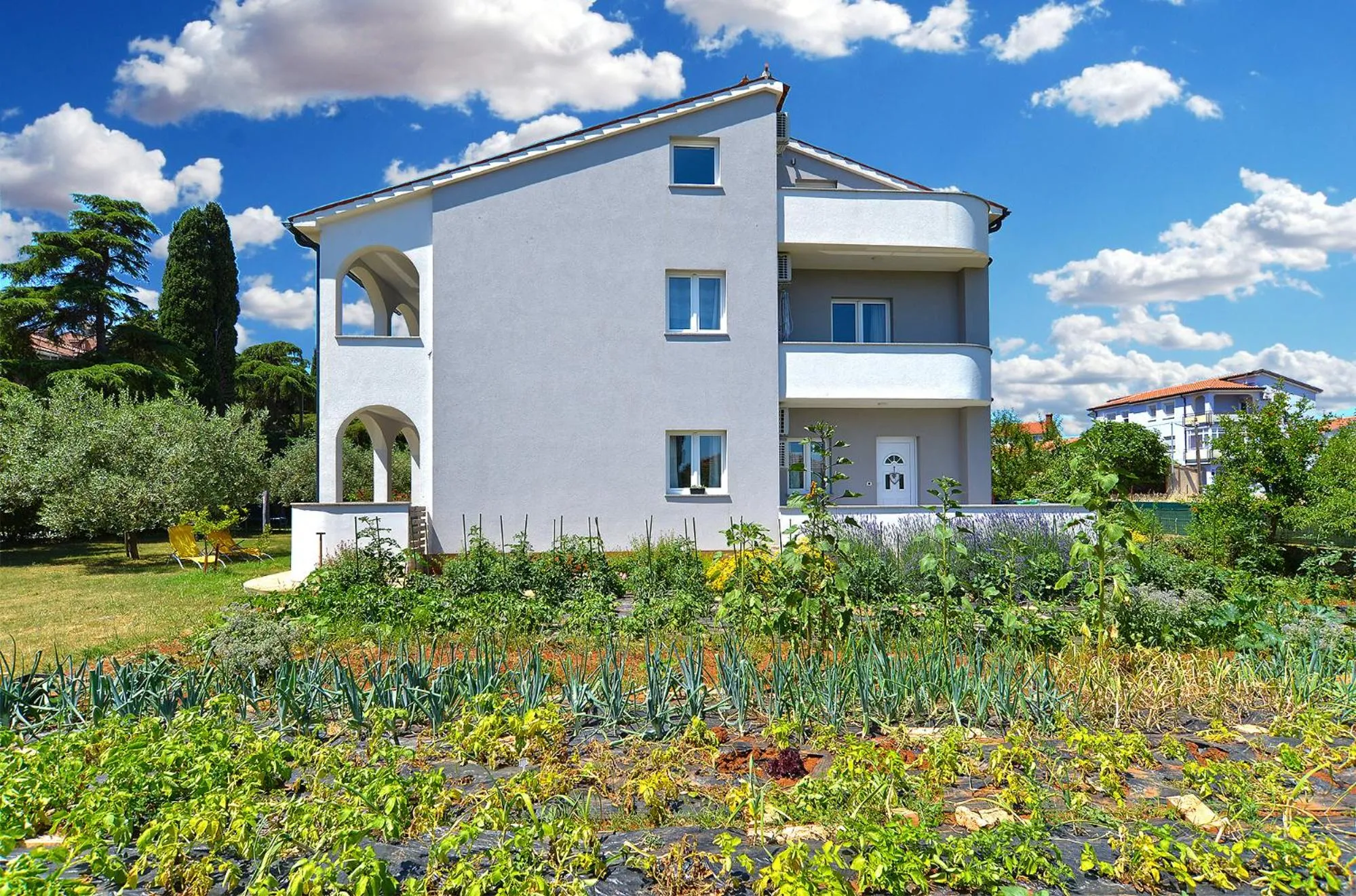 Apartments Elizabeta 1701