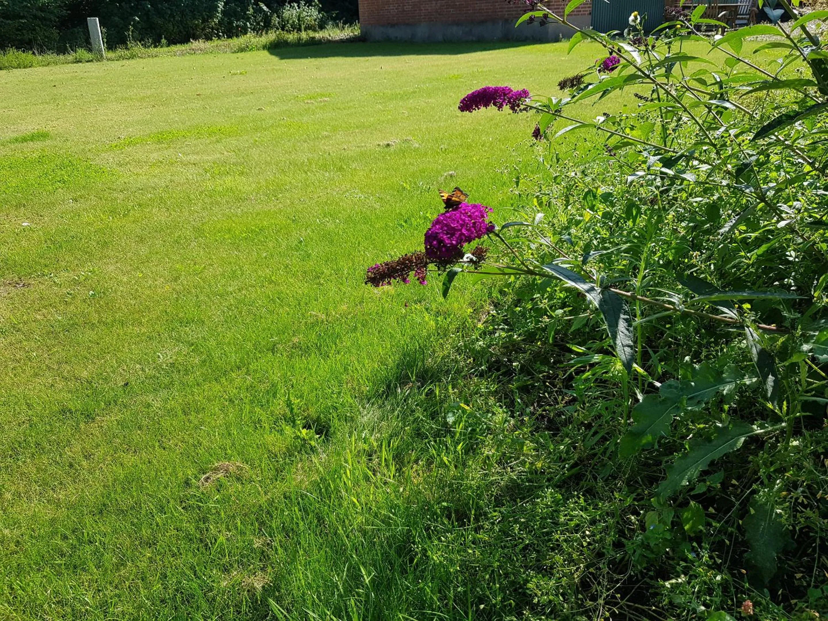 Garden view in Kyndestoft Bed & Breakfast