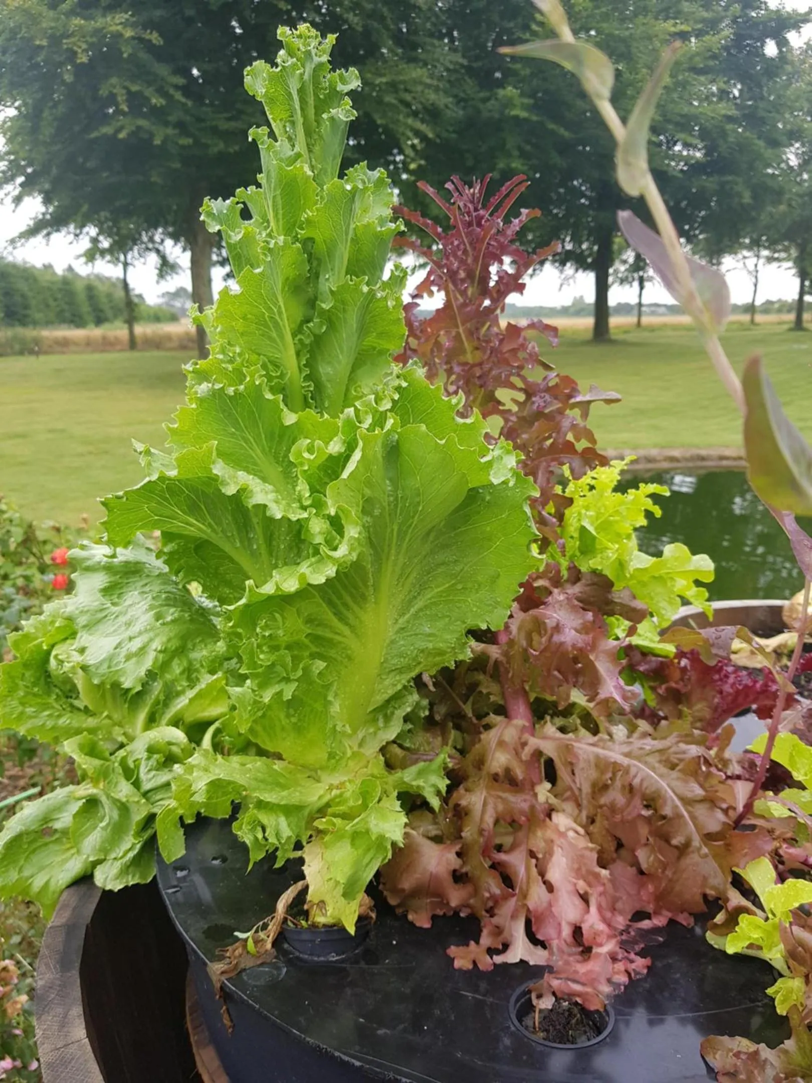 Kyndestoft Bed & Breakfast