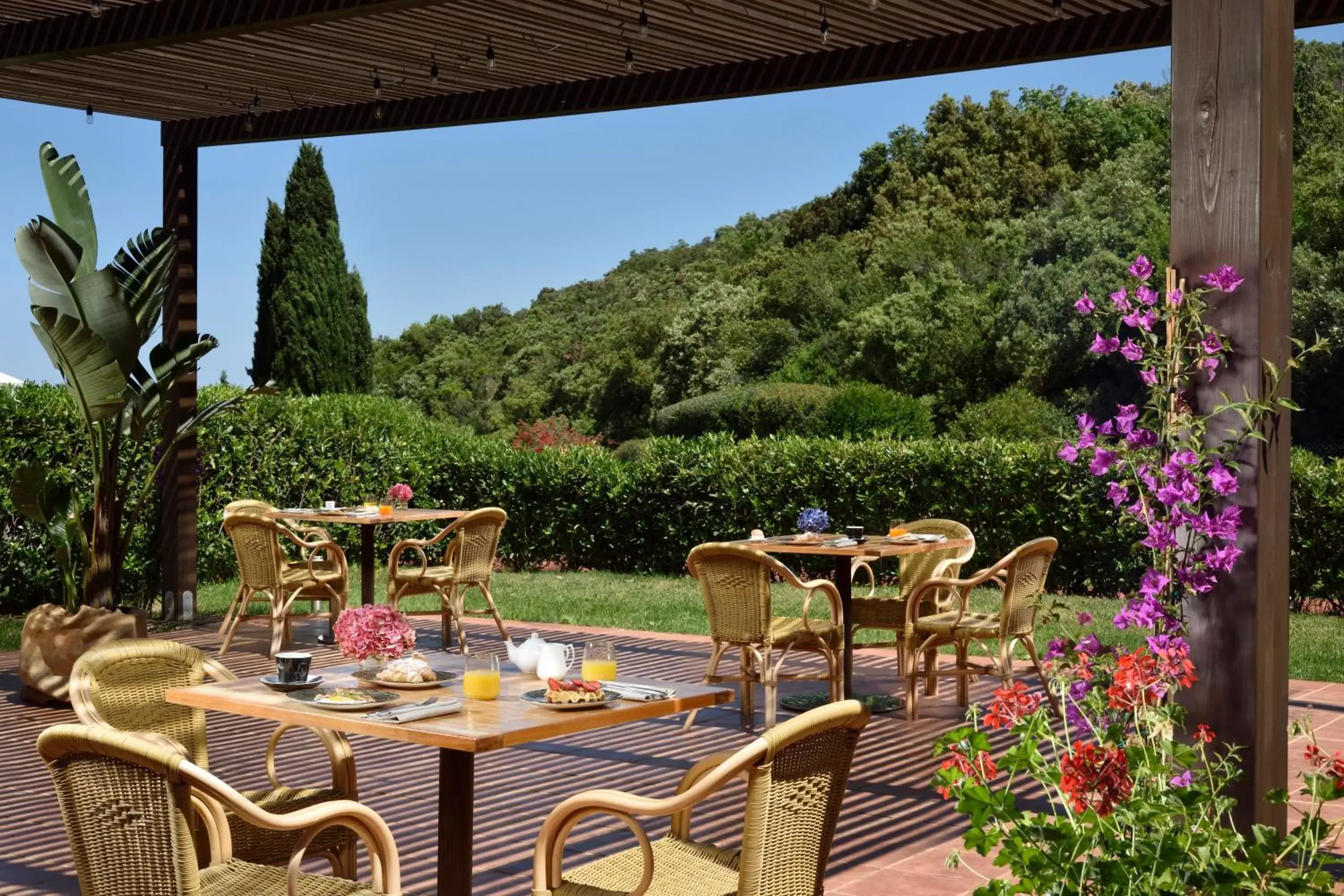 Junior Suite with Garden in Argentario Lagoon Resort & Spa Junior Suite with Garden in Argentario Lagoon Resort & Spa