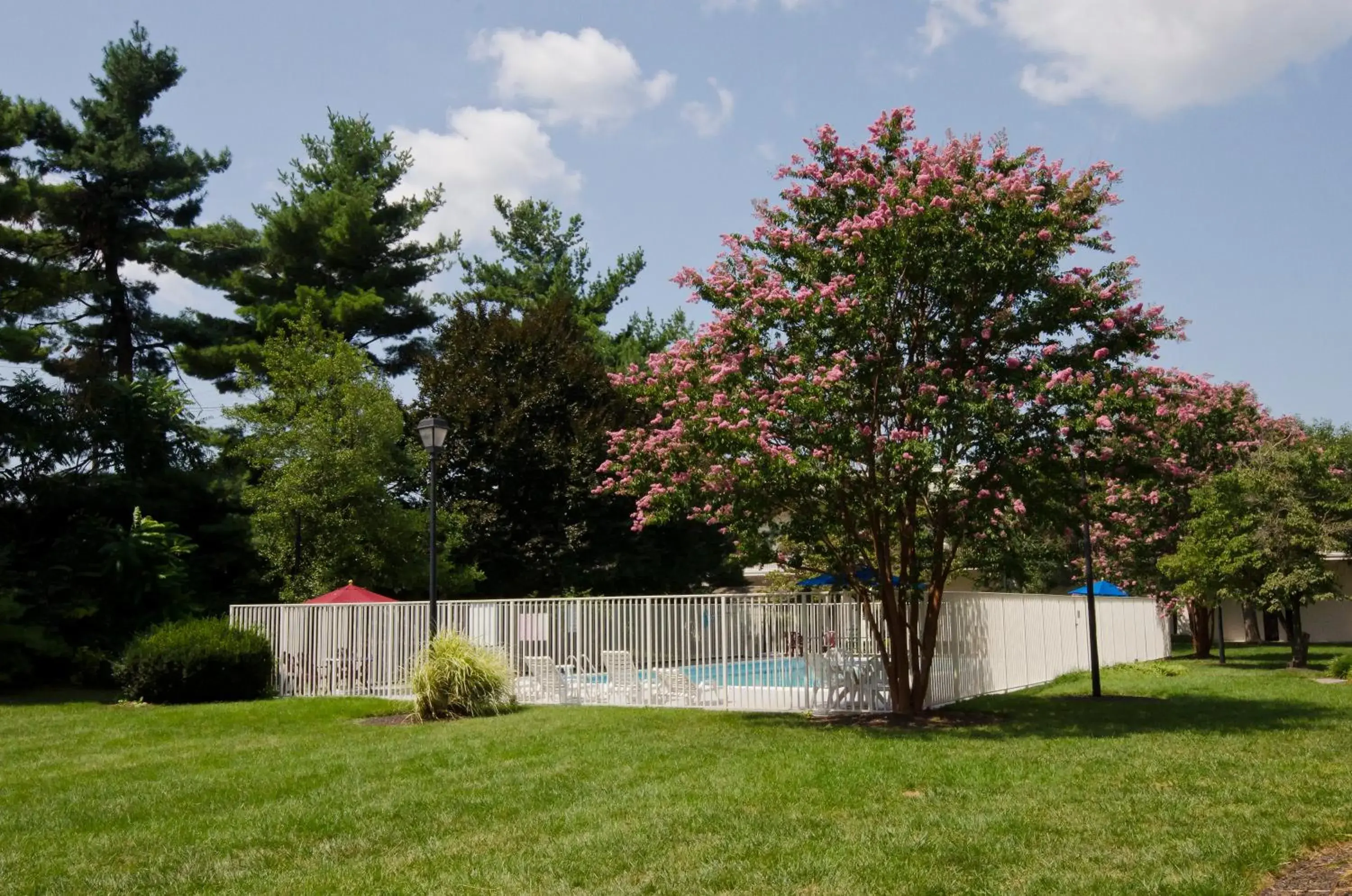 Swimming pool, Garden in Motel 6-Frederick, MD - Fort Detrick