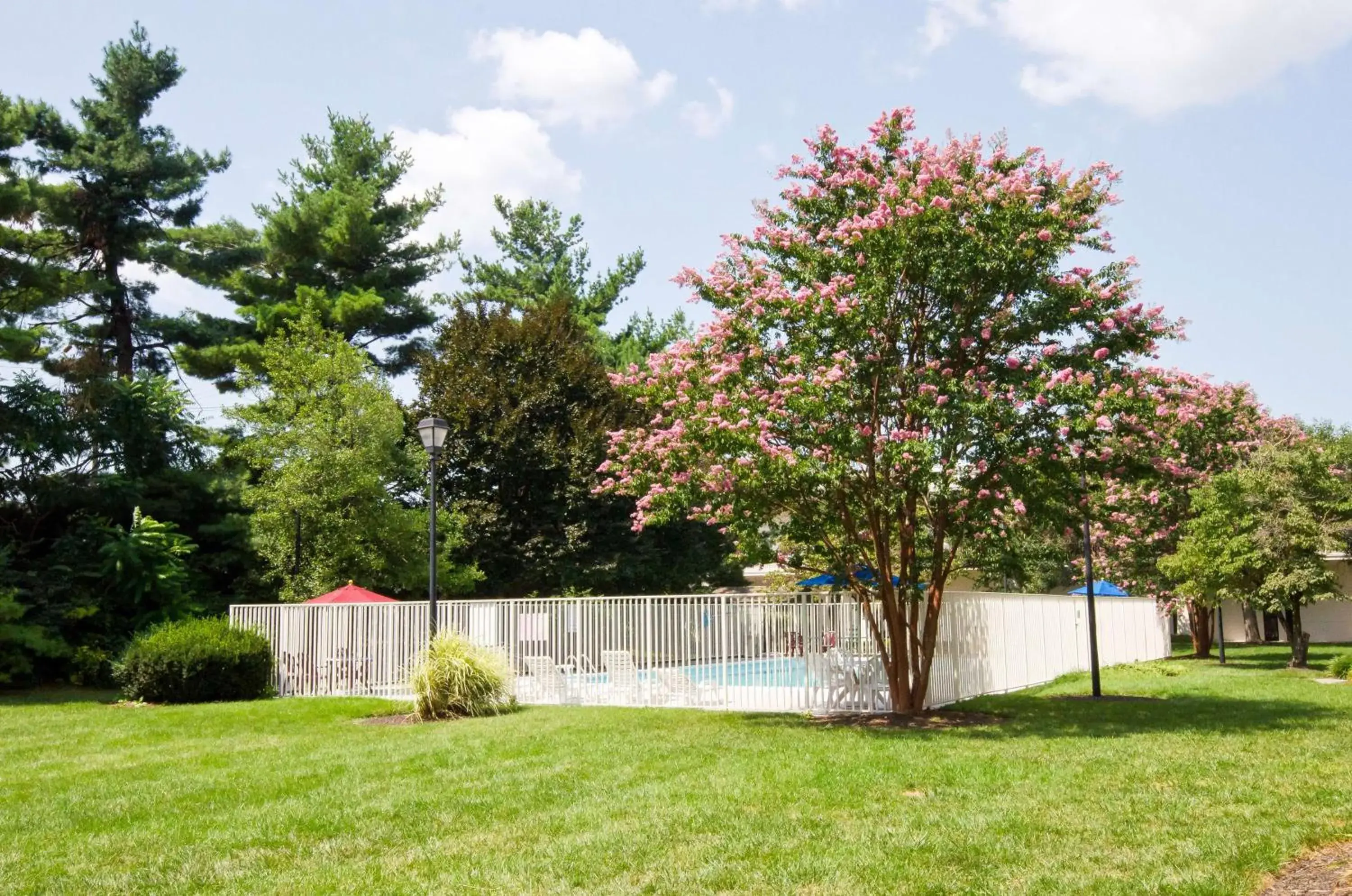 Garden in Motel 6-Frederick, MD - Fort Detrick