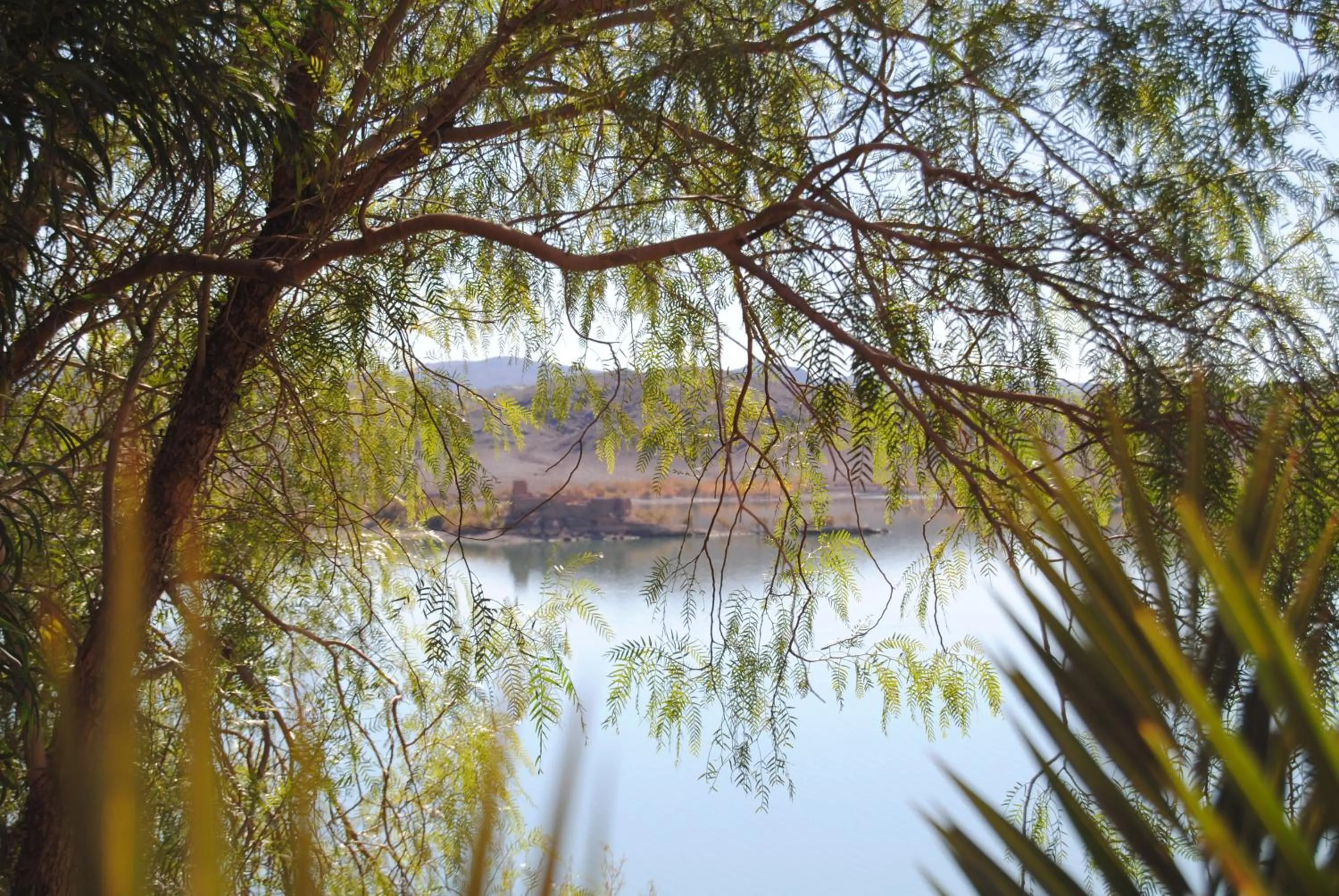 Natural landscape in Les Tourmalines
