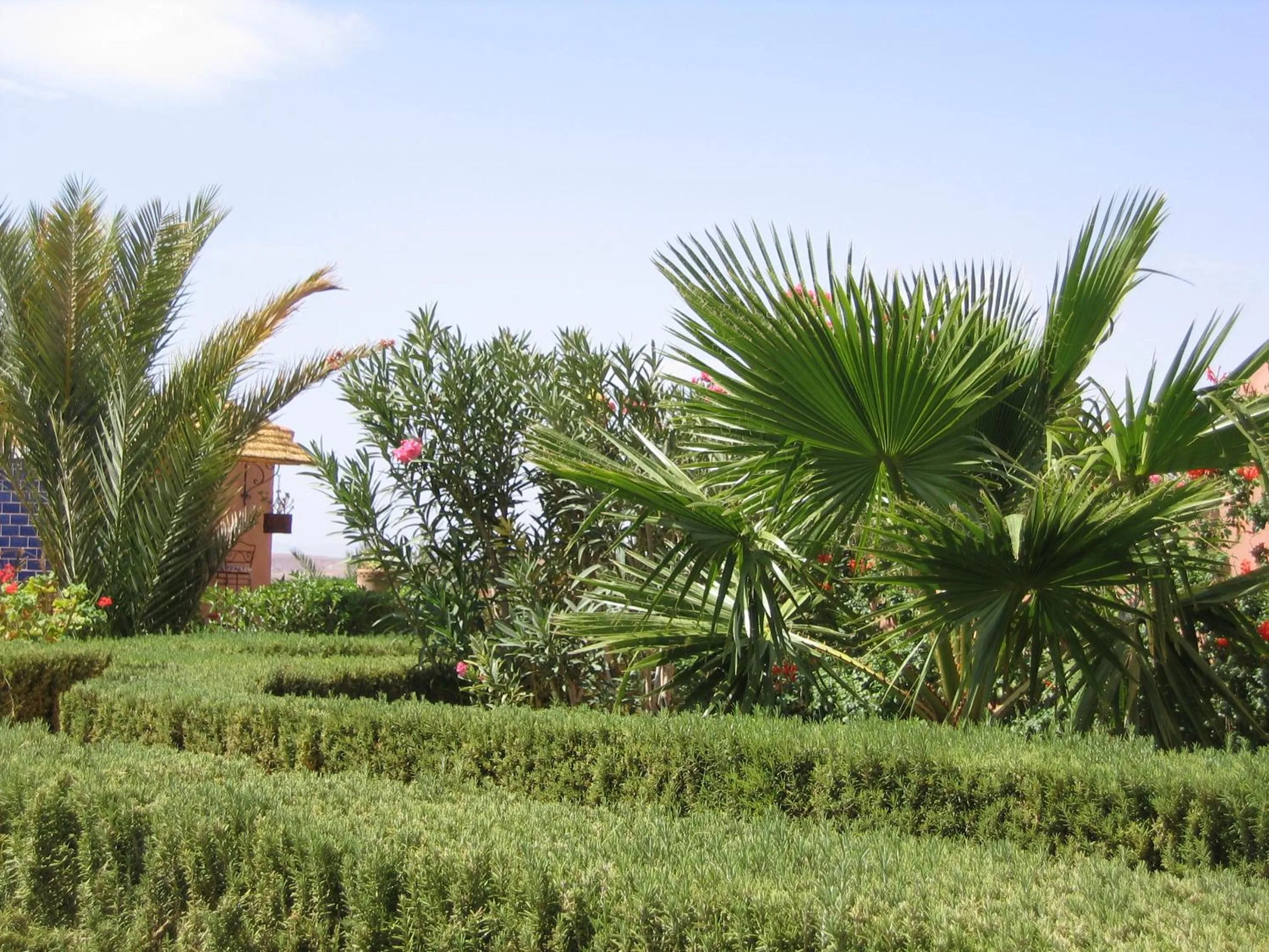 Garden in Les Tourmalines