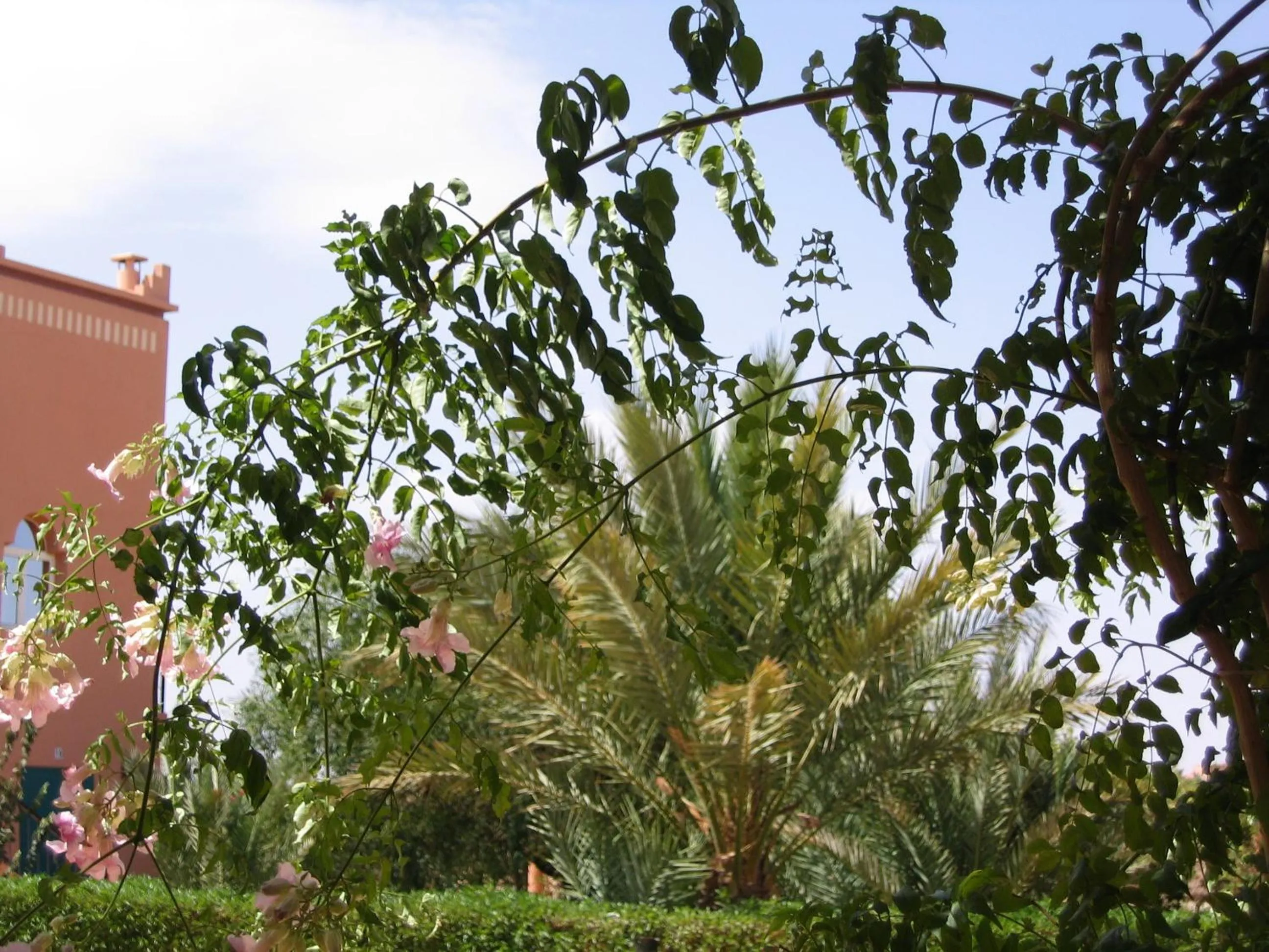 Garden in Les Tourmalines