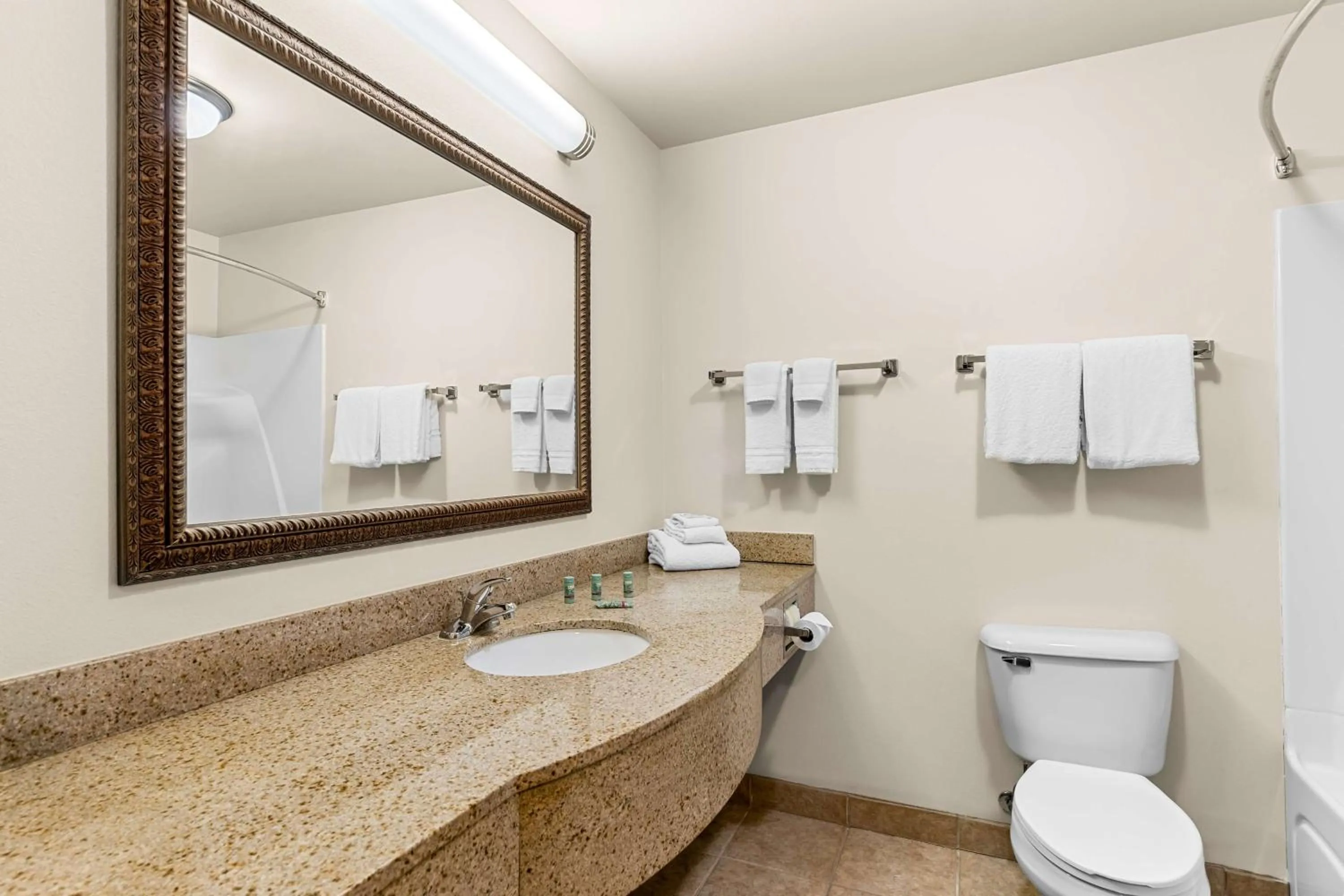 Bathroom in Best Western Legacy Inn & Suites Beloit/South Beloit