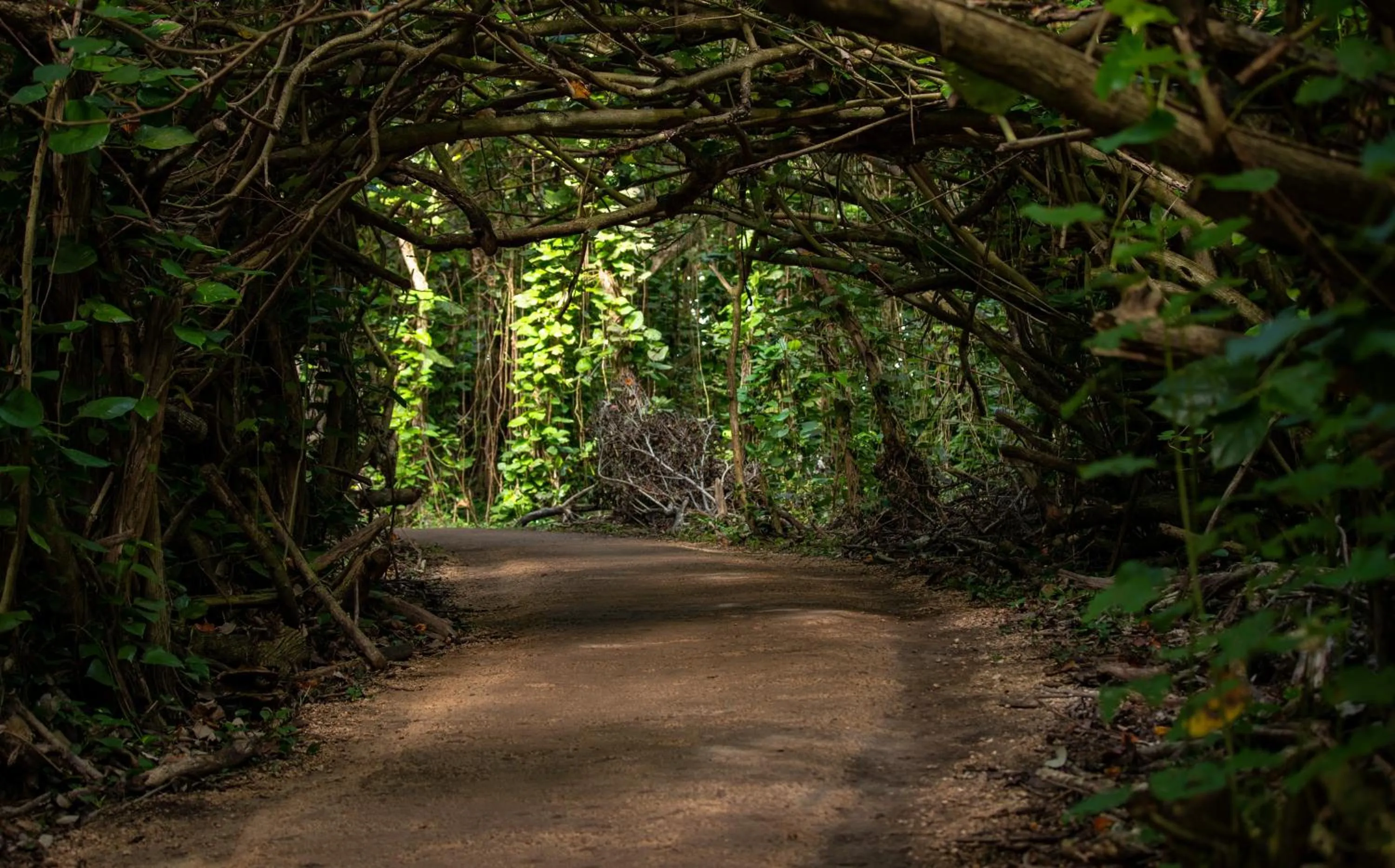 Natural landscape in Hanalei Colony Resort