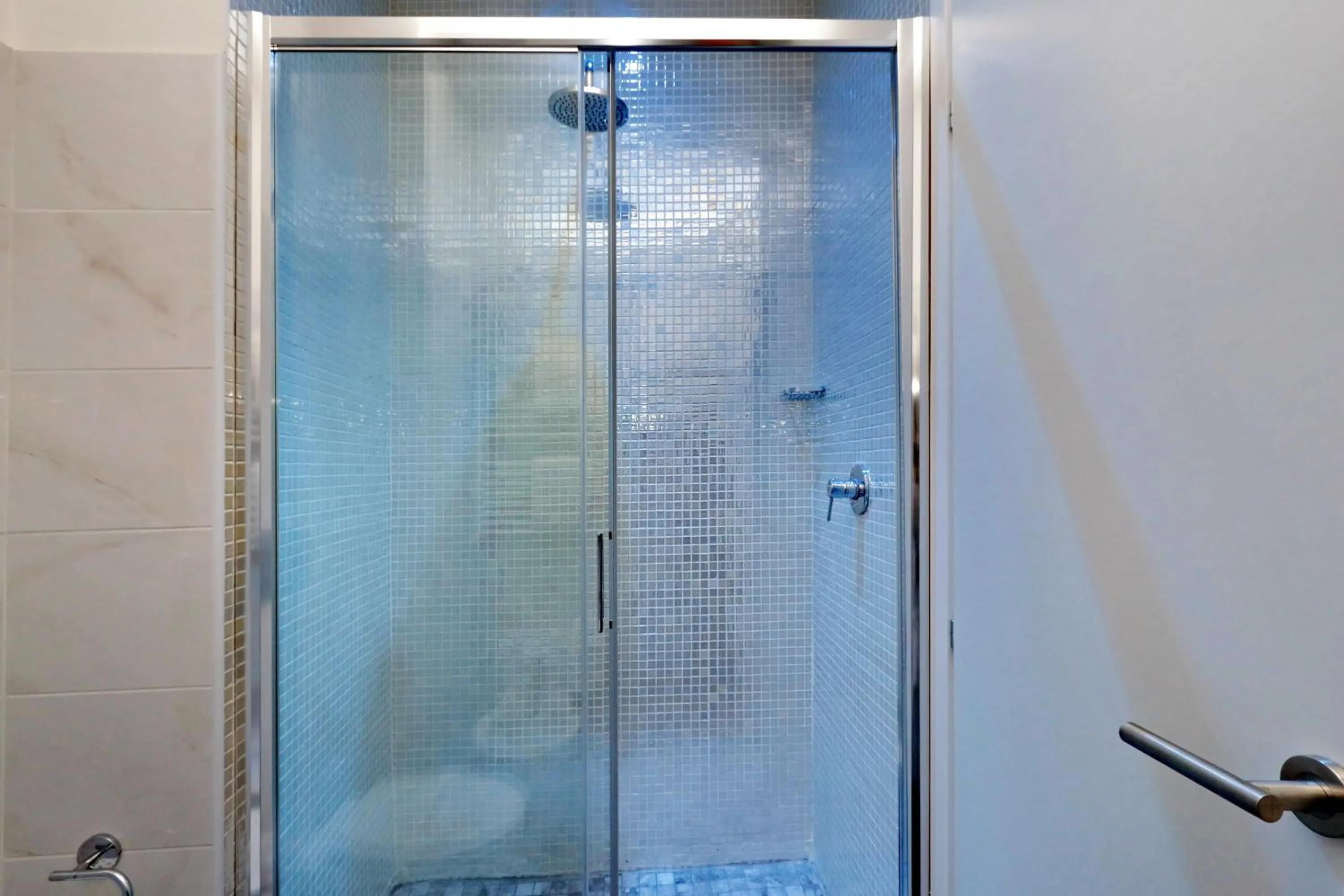 Shower in Just Chilling Suite