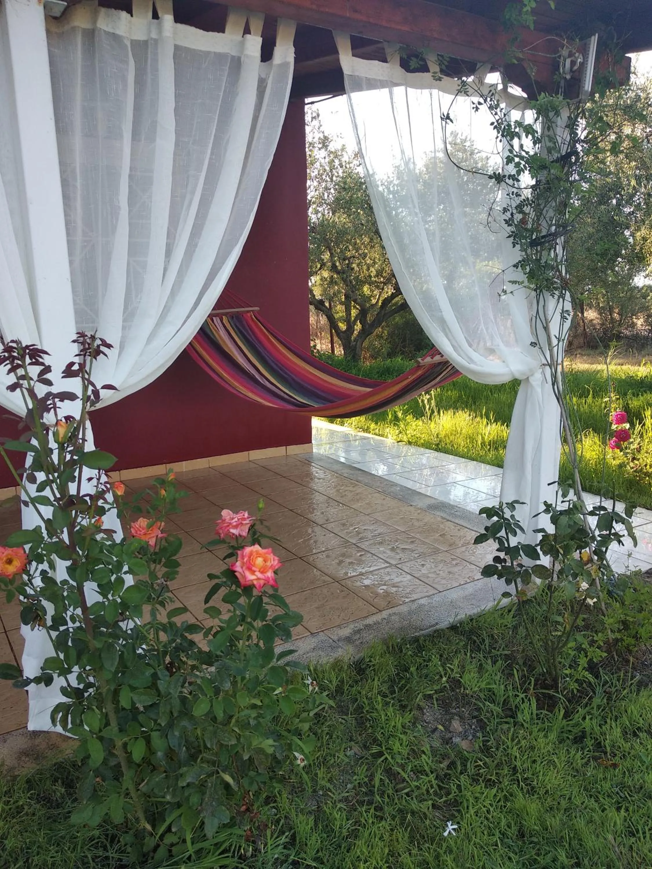 Olive garden guest house