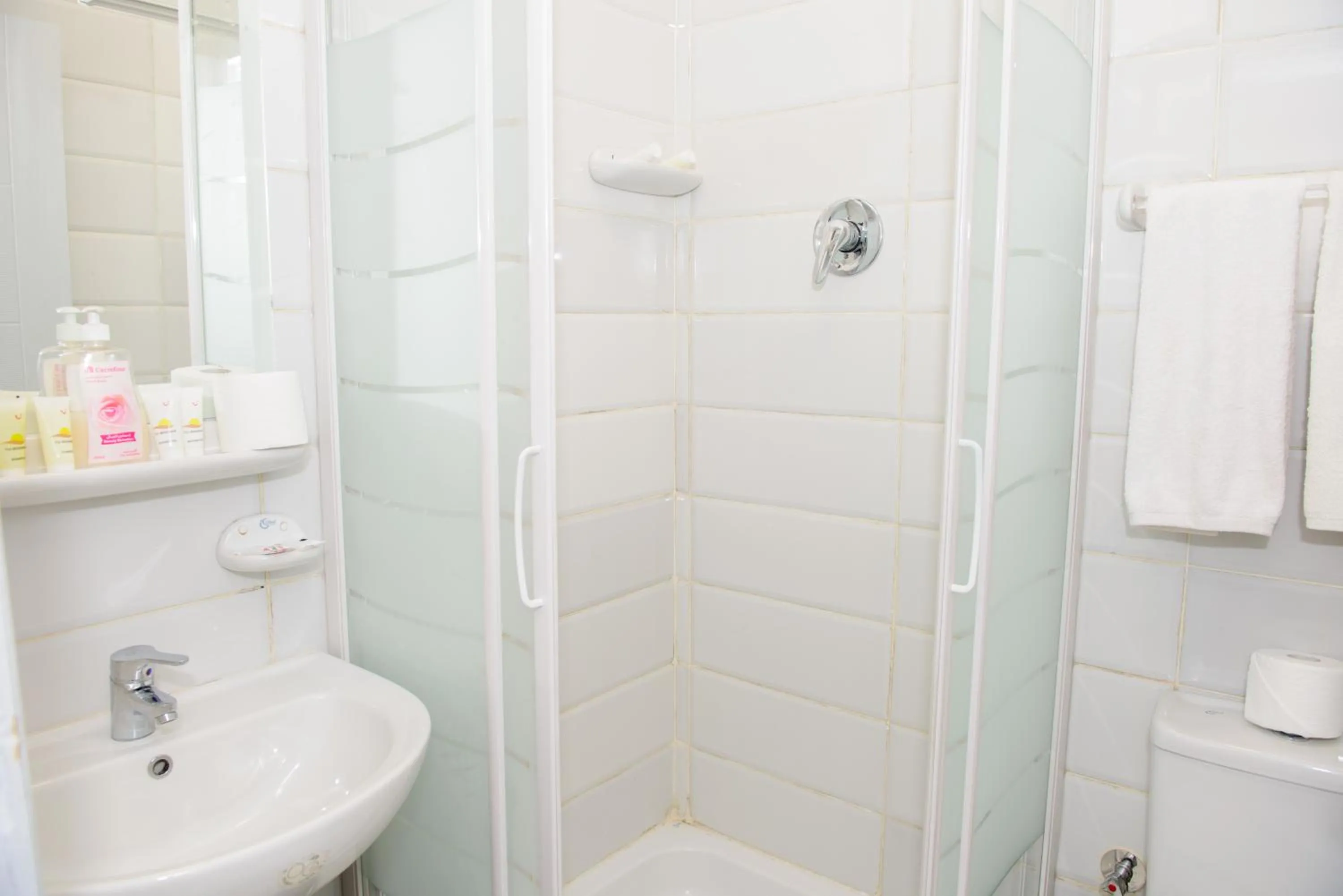 Shower in Pyramids View Inn Bed & Breakfast