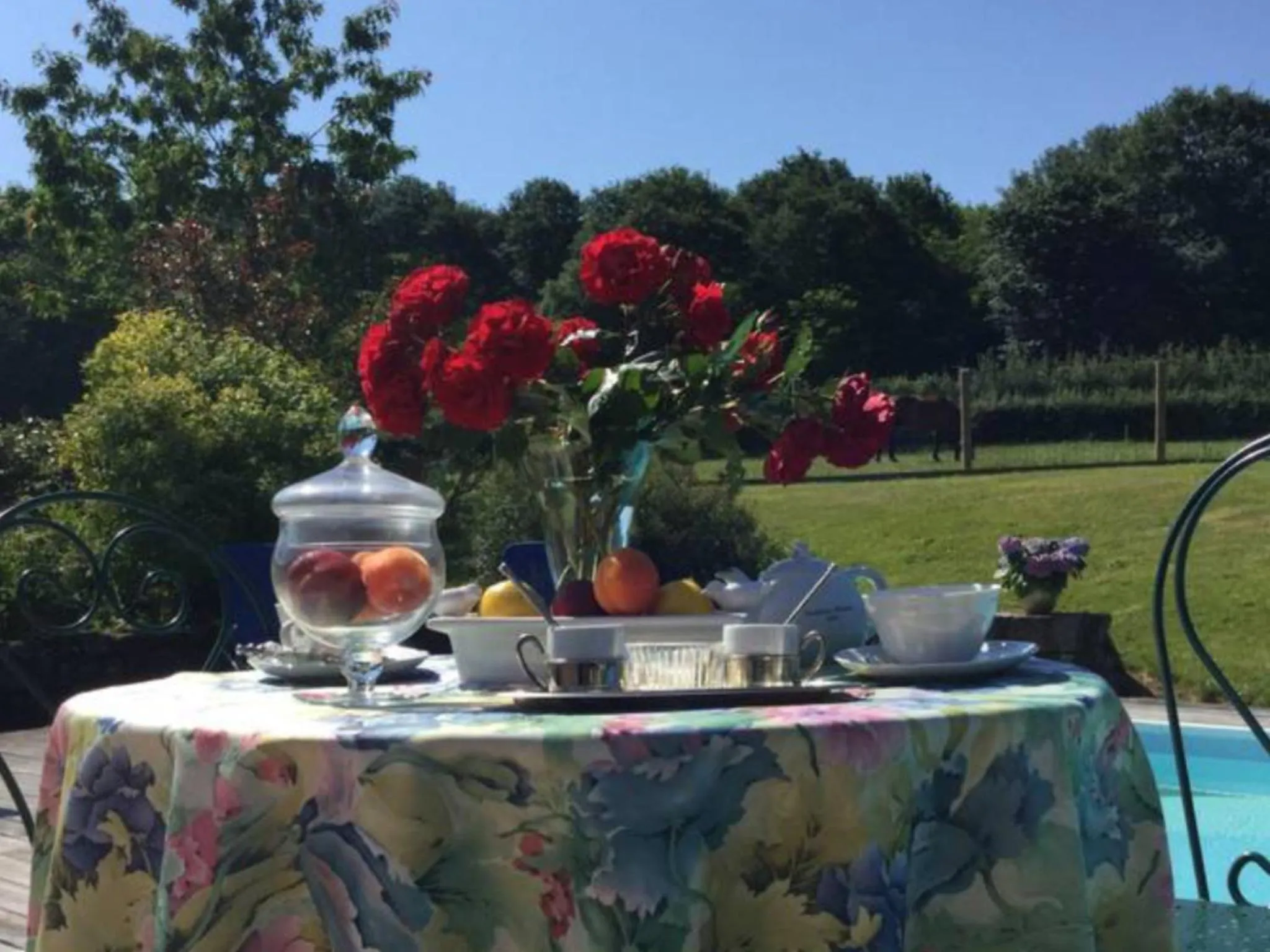 Le chant des oiseaux