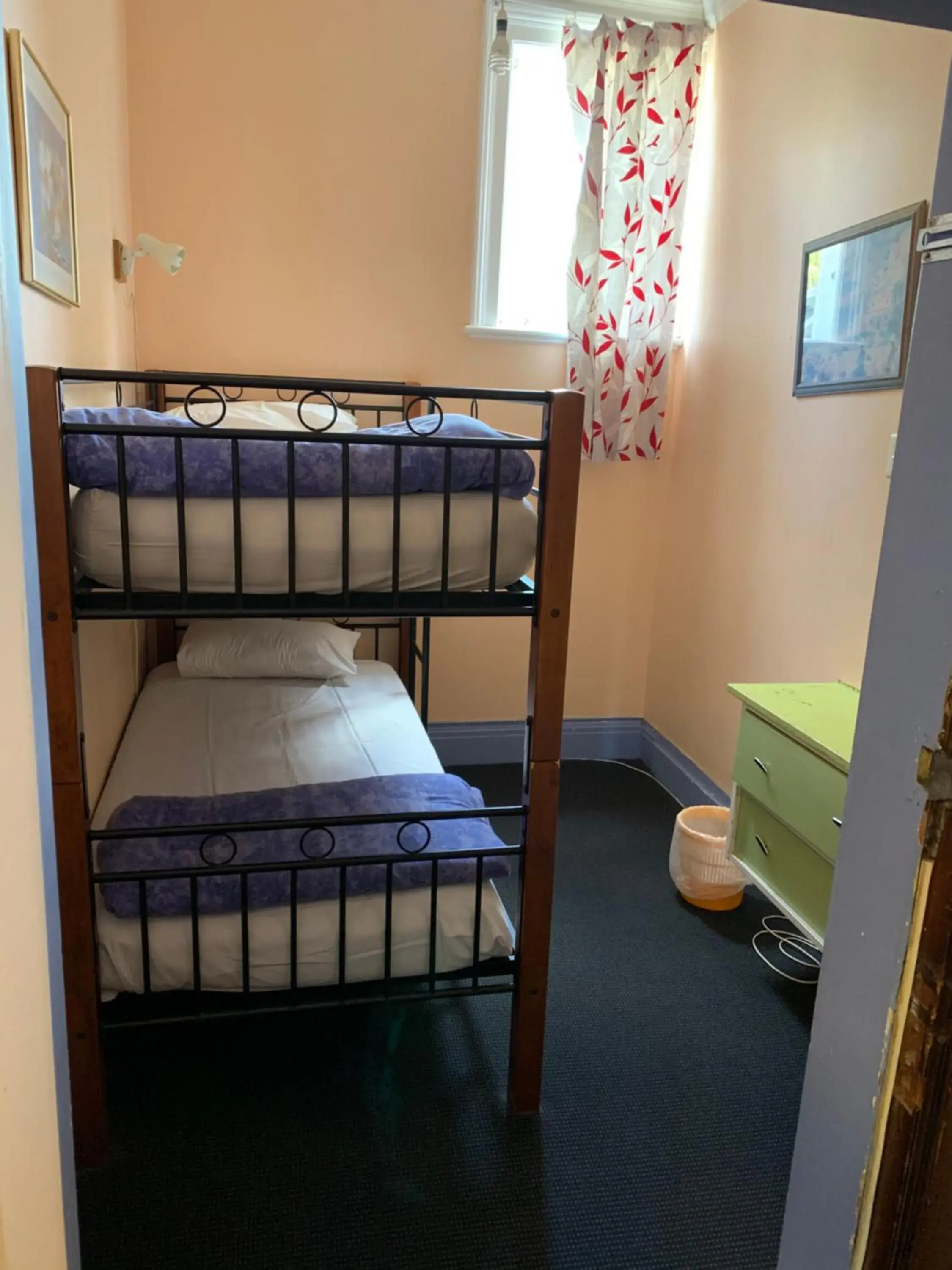 Bunk Bed in City Garden Lodge