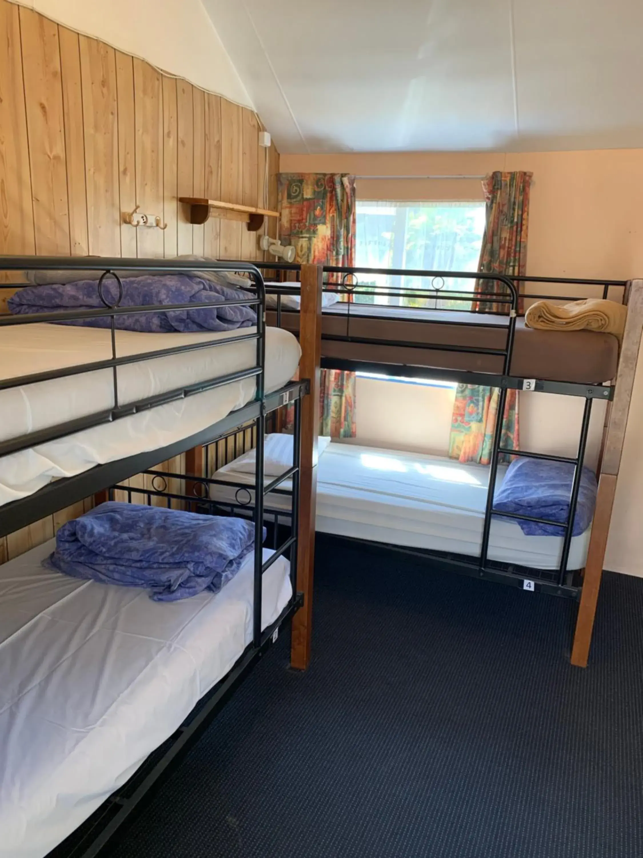 Bunk Bed in City Garden Lodge