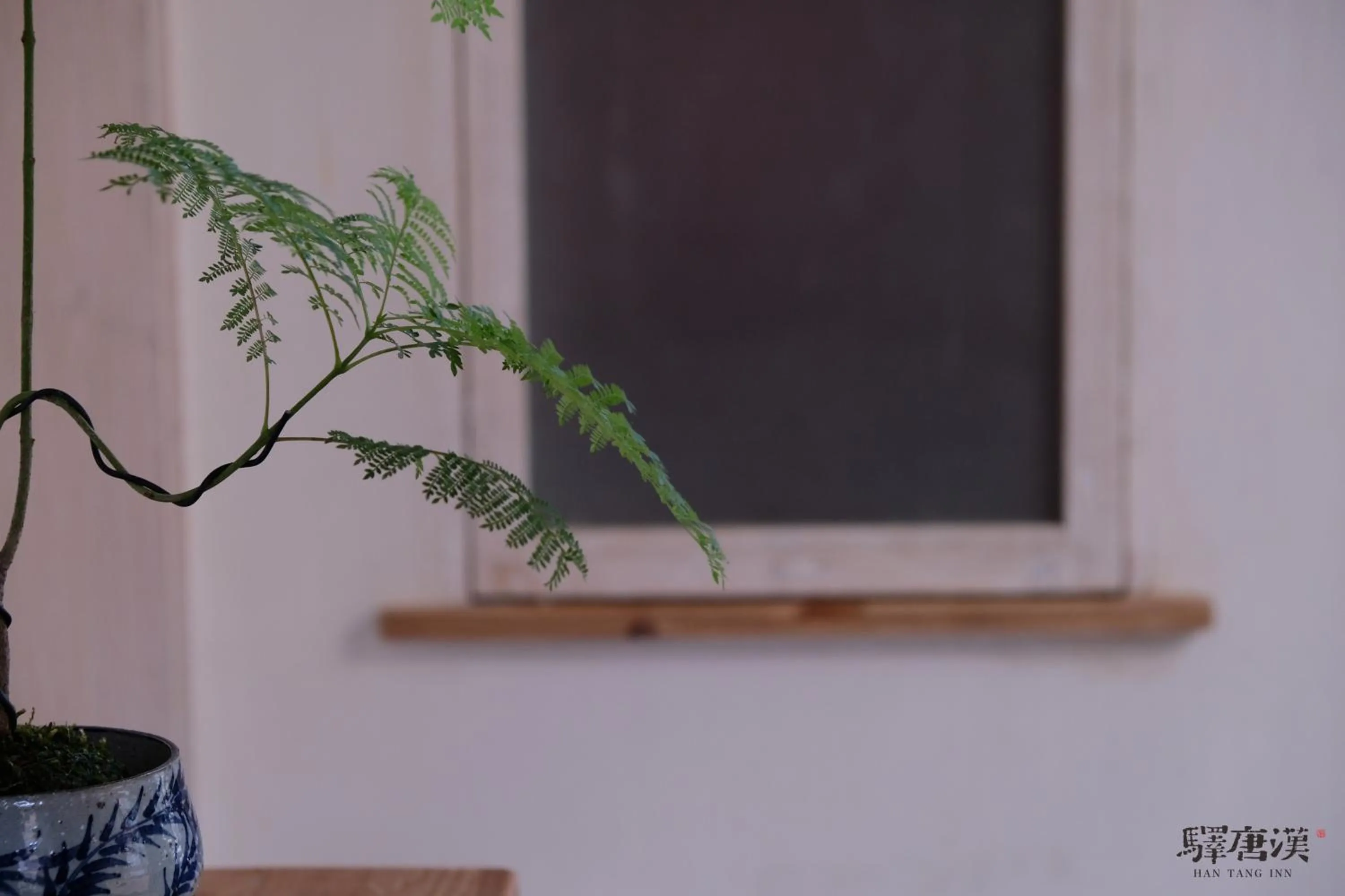 Restaurant/places to eat in Hantang Inn Hostel Xi'an