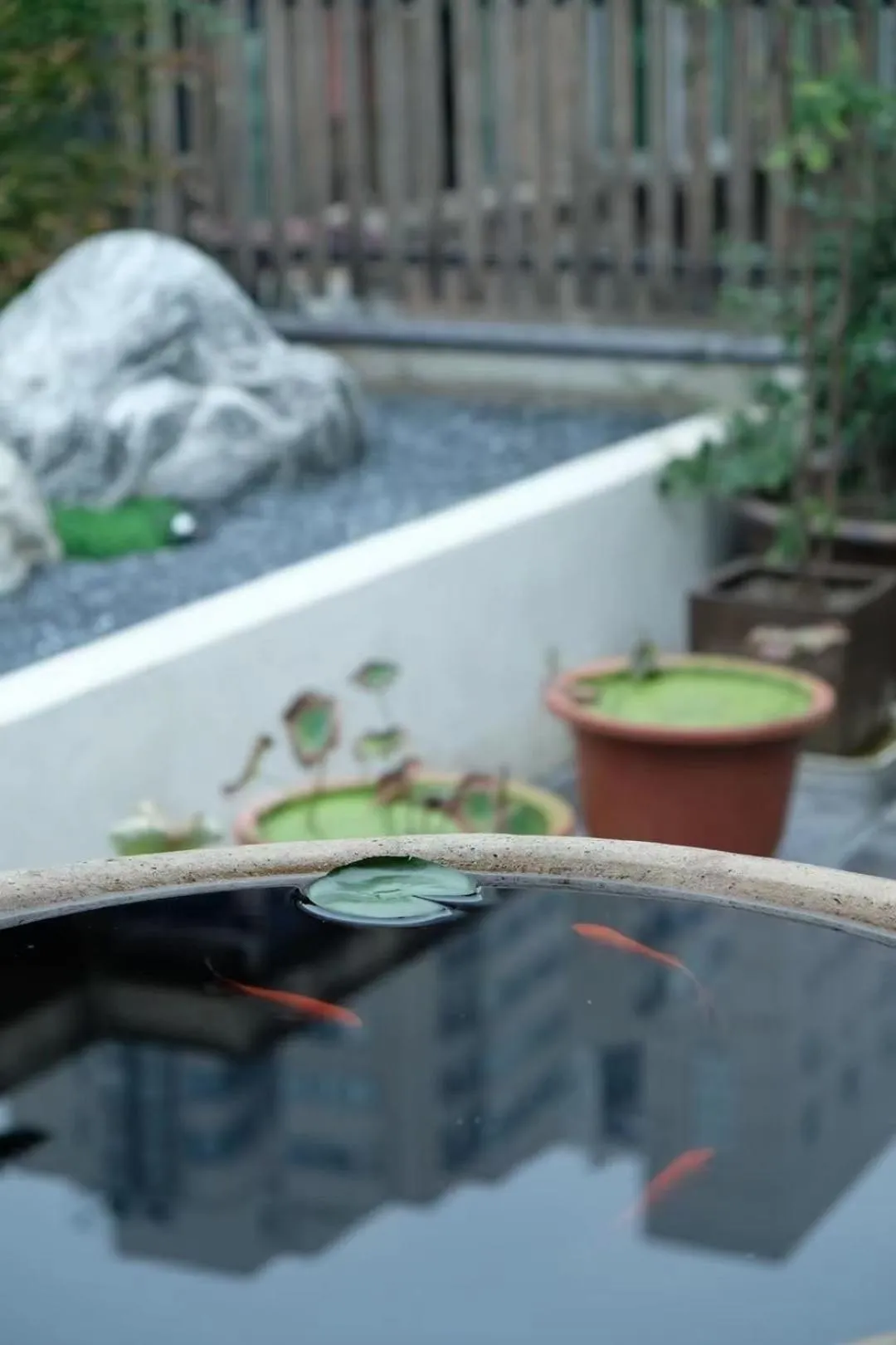 Garden view in Hantang Inn Hostel Xi'an