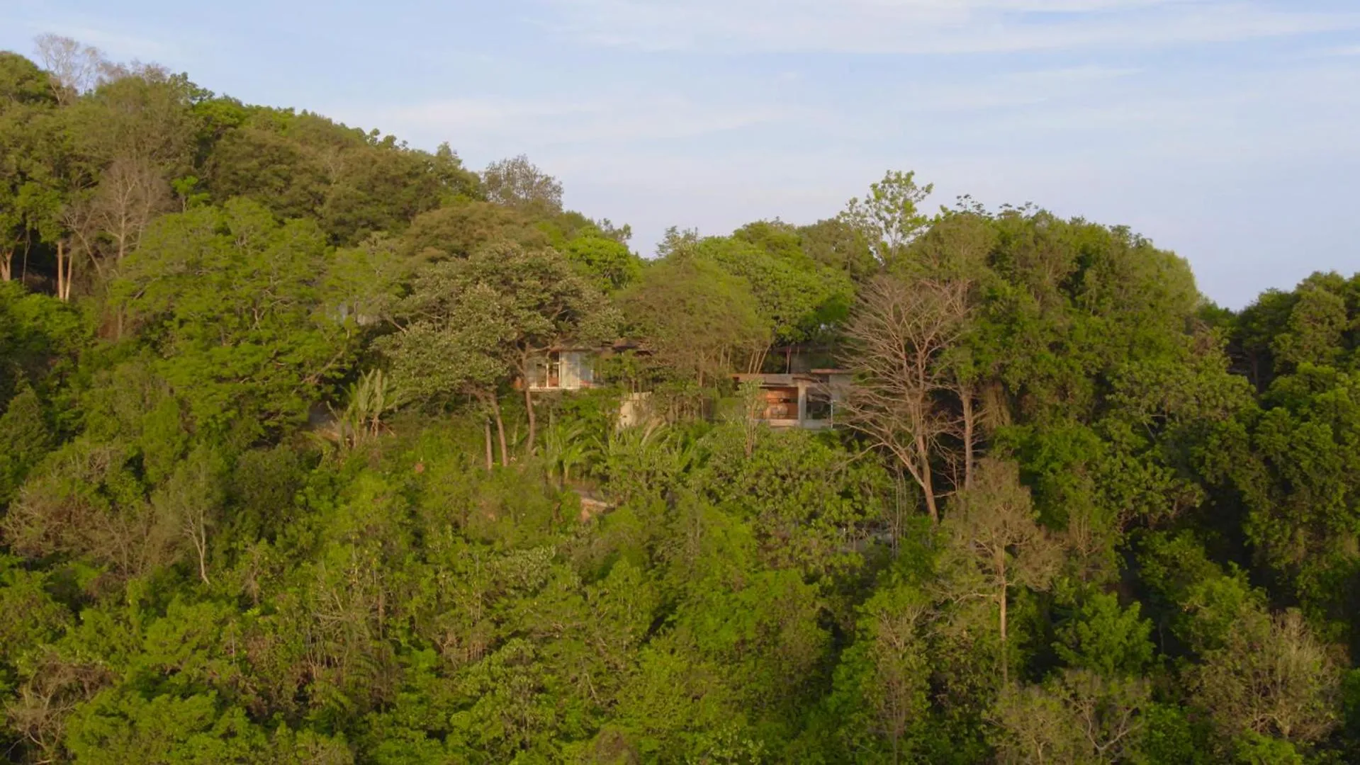Natural landscape in Ambong Rainforest Retreat