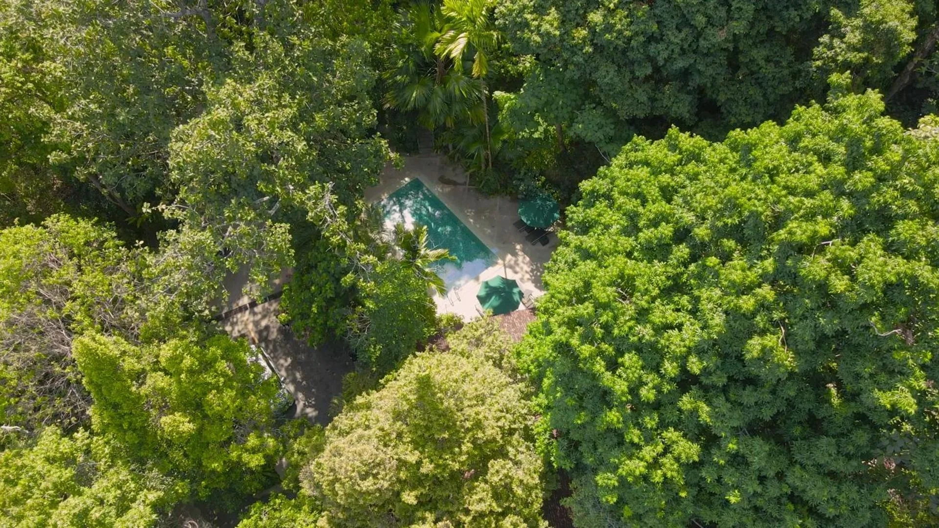 Natural landscape in Ambong Rainforest Retreat
