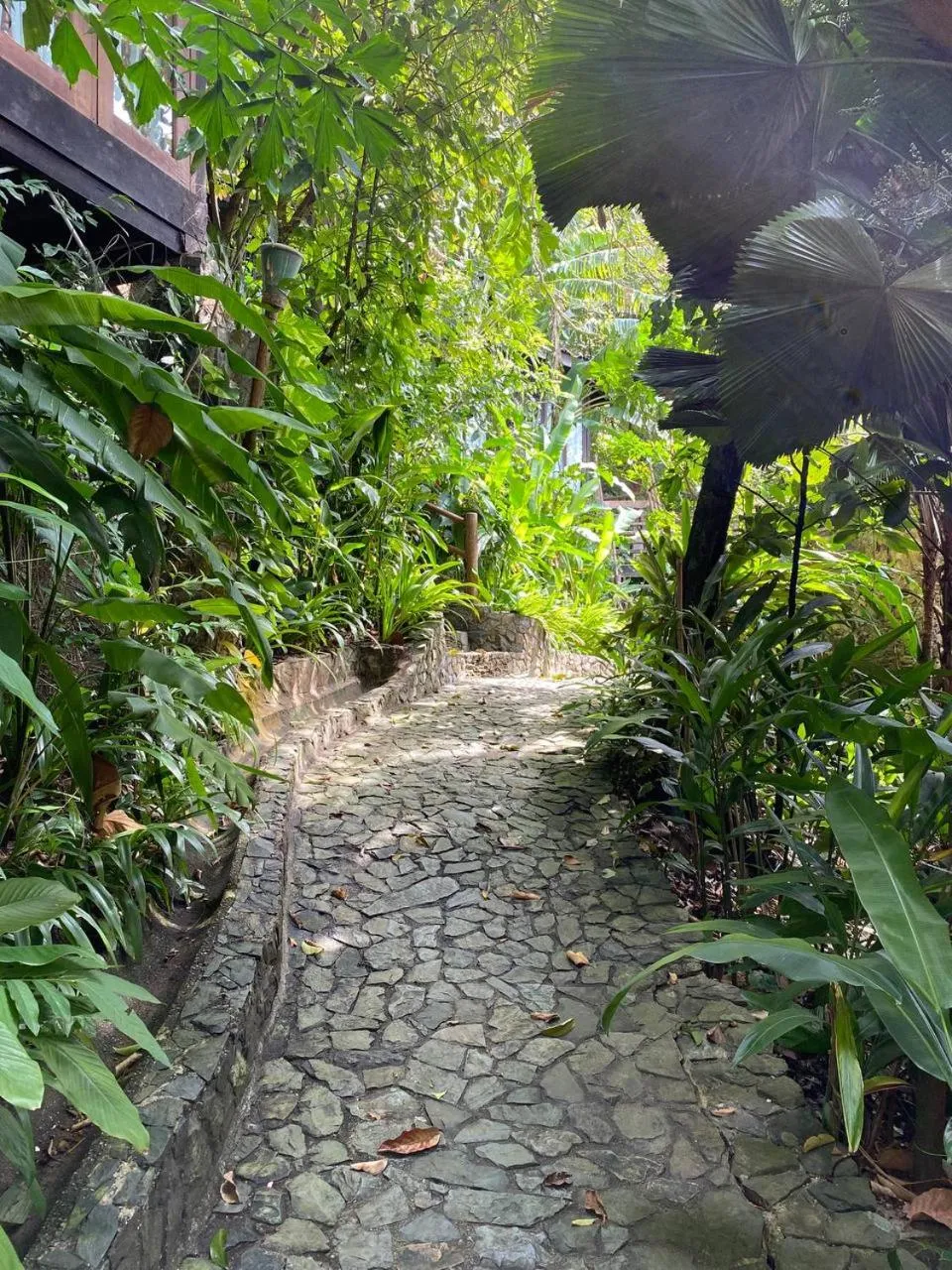 Garden in Ambong Rainforest Retreat