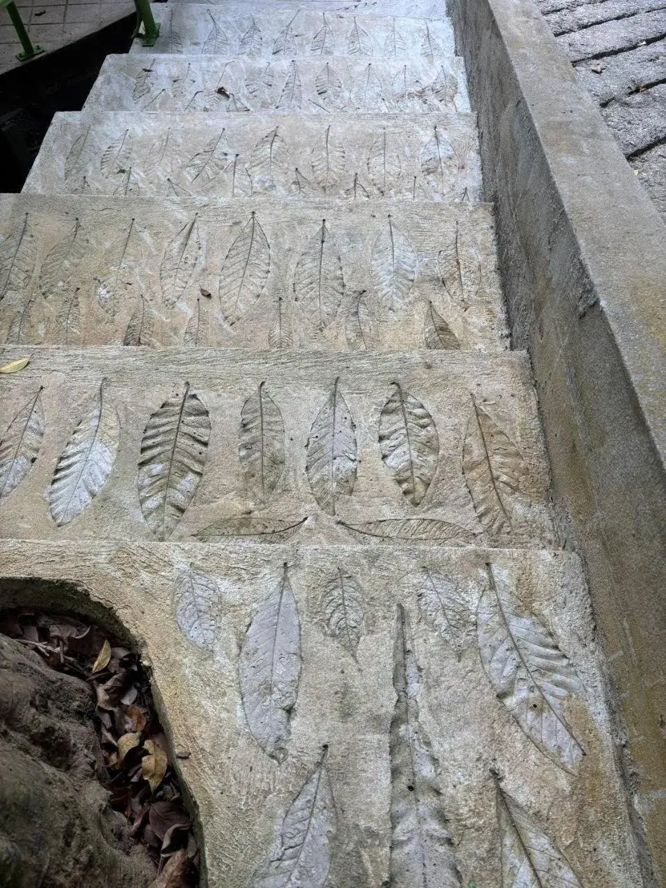 Property building in Ambong Rainforest Retreat Property building in Ambong Rainforest Retreat