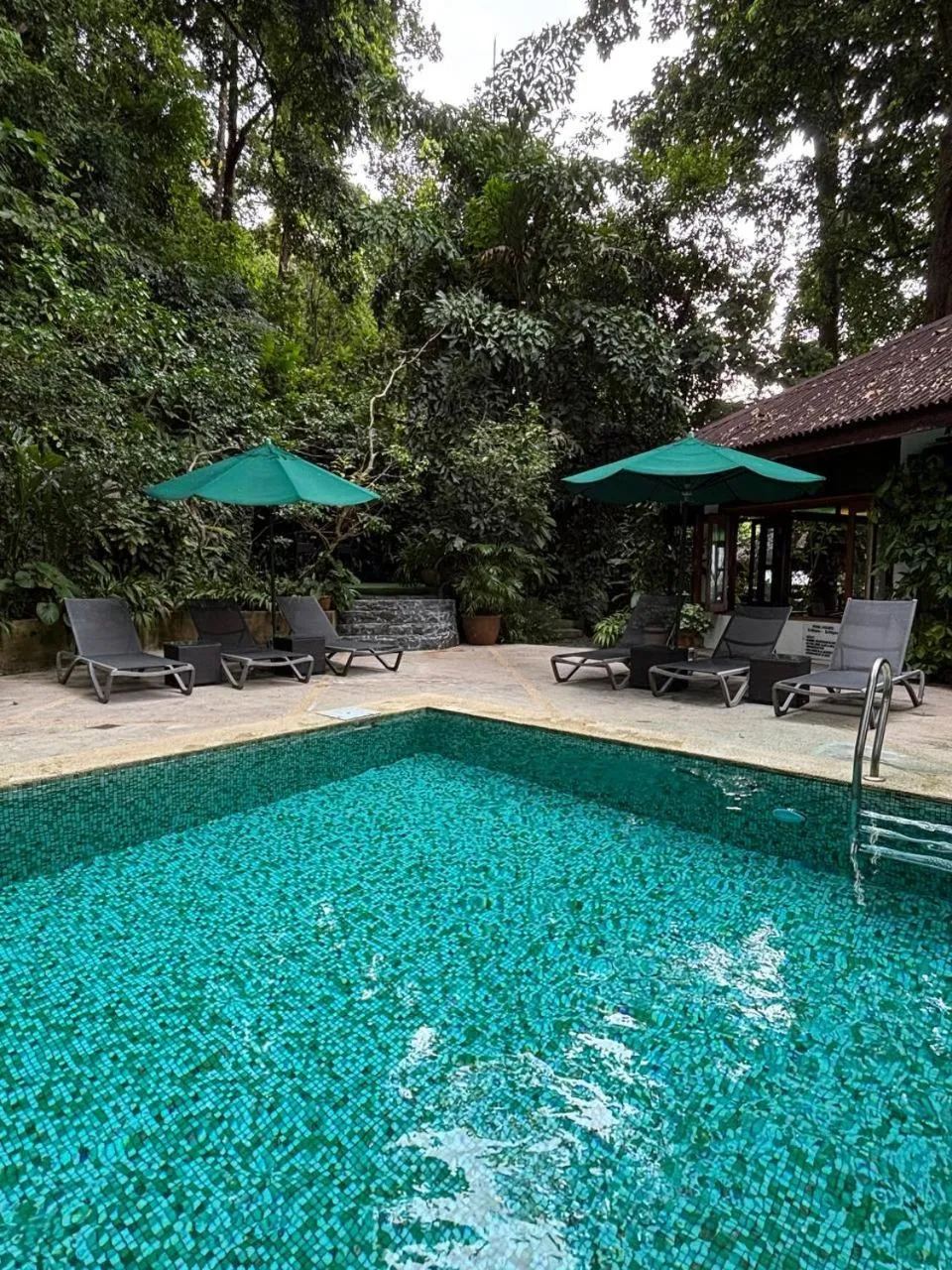 Swimming pool in Ambong Rainforest Retreat