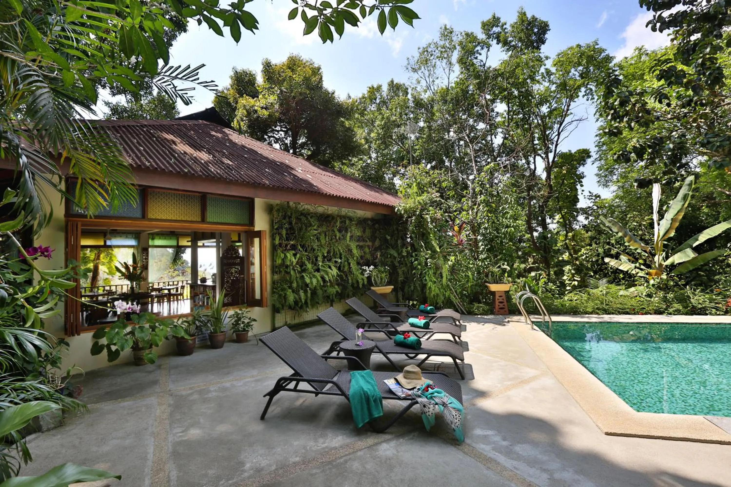 Swimming pool in Ambong Rainforest Retreat
