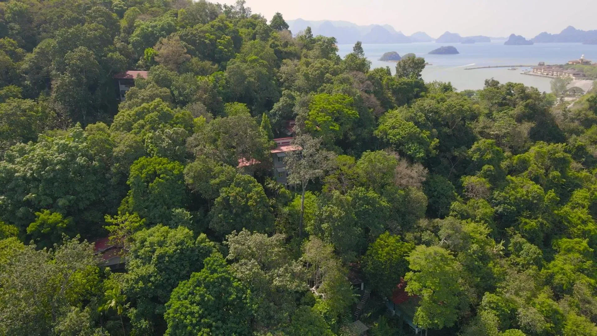 Natural landscape in Ambong Rainforest Retreat