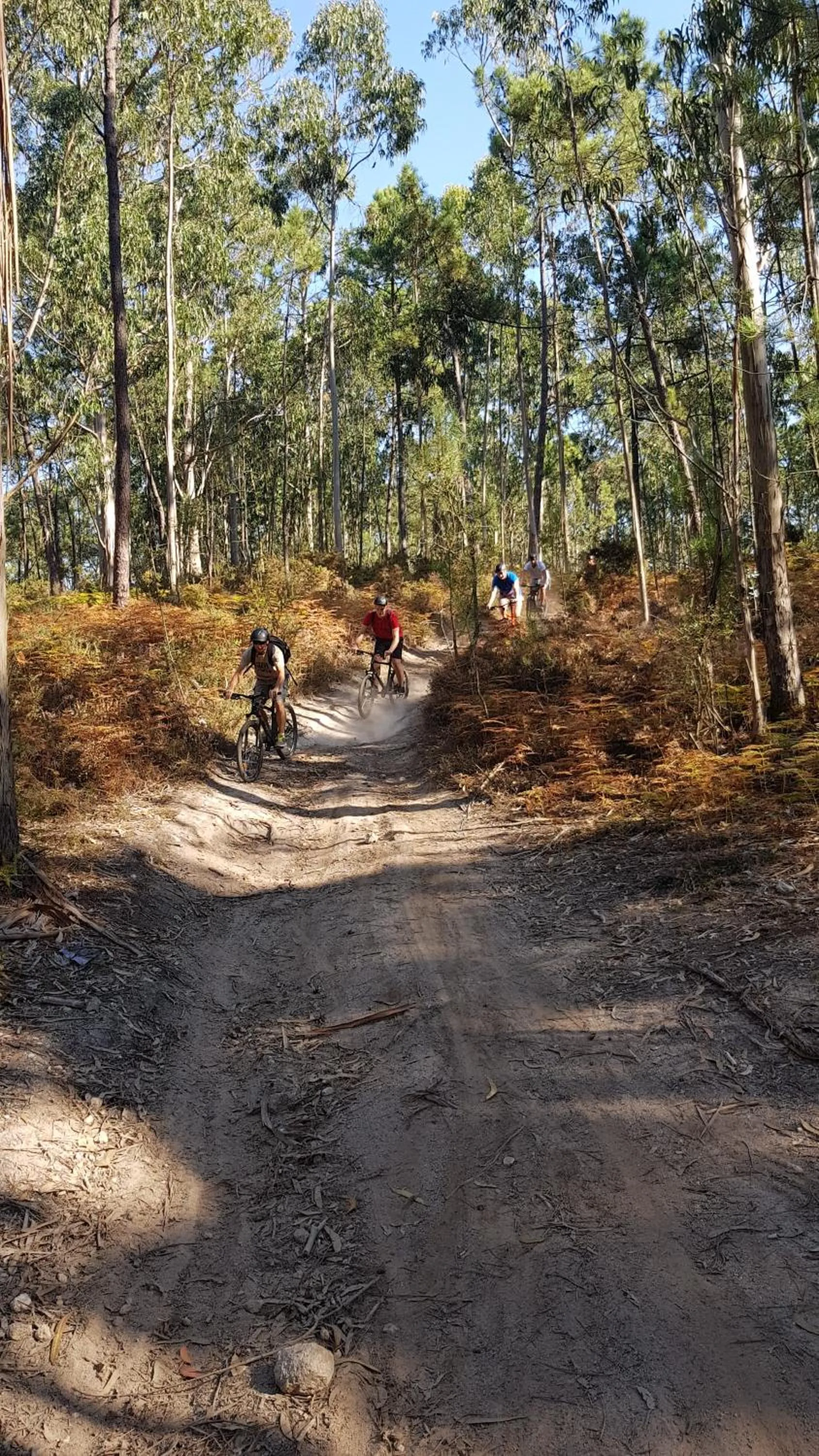 Cycling in InnEsposende Sports Hostel
